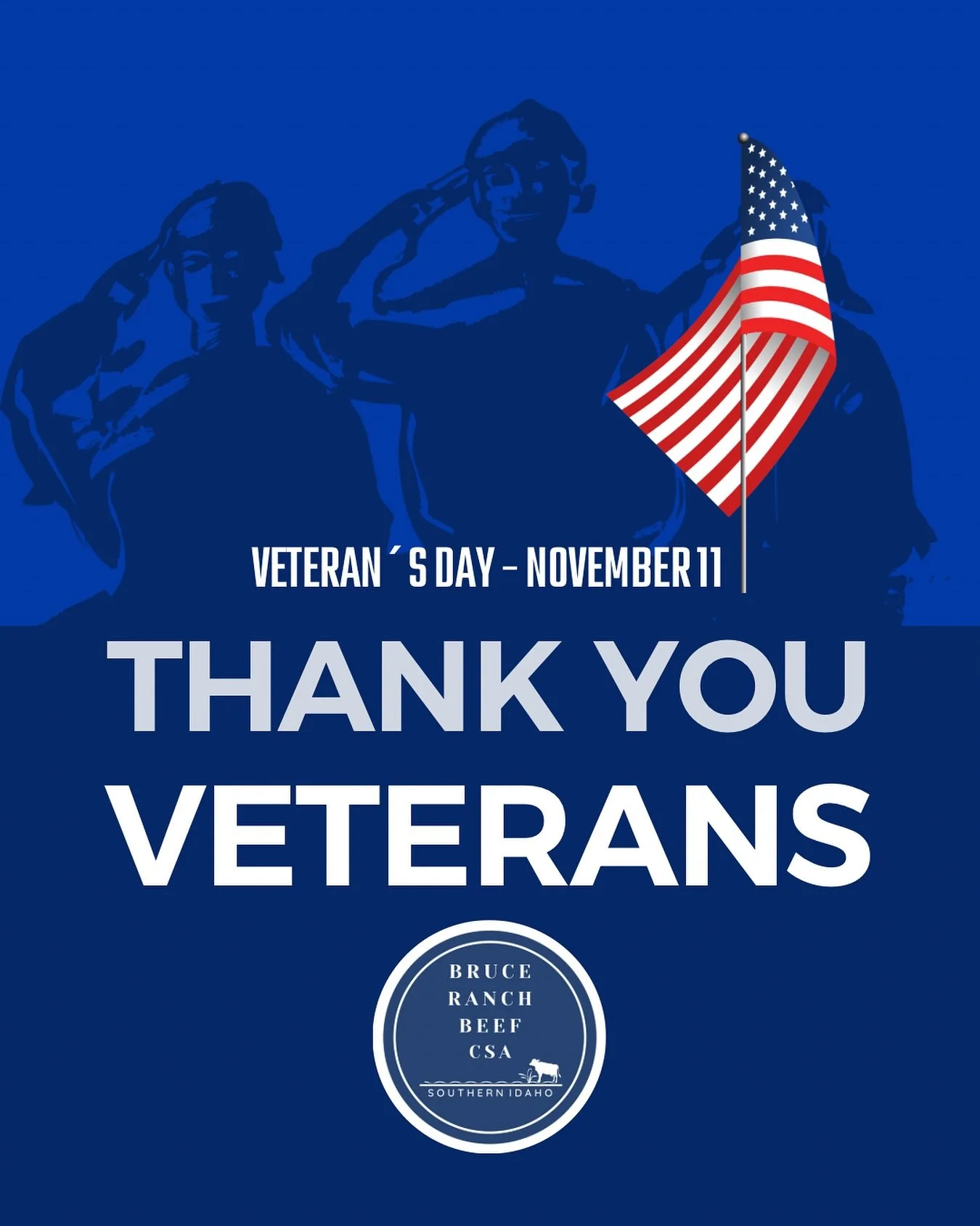 Thank you, Veterans, for your bravery, service, dedication, and sacrifice. We are so fortunate to live, work, and pursue our dreams freely in this country. Wishing all Veterans and their families a day of peace and happiness in gratitude for their se
