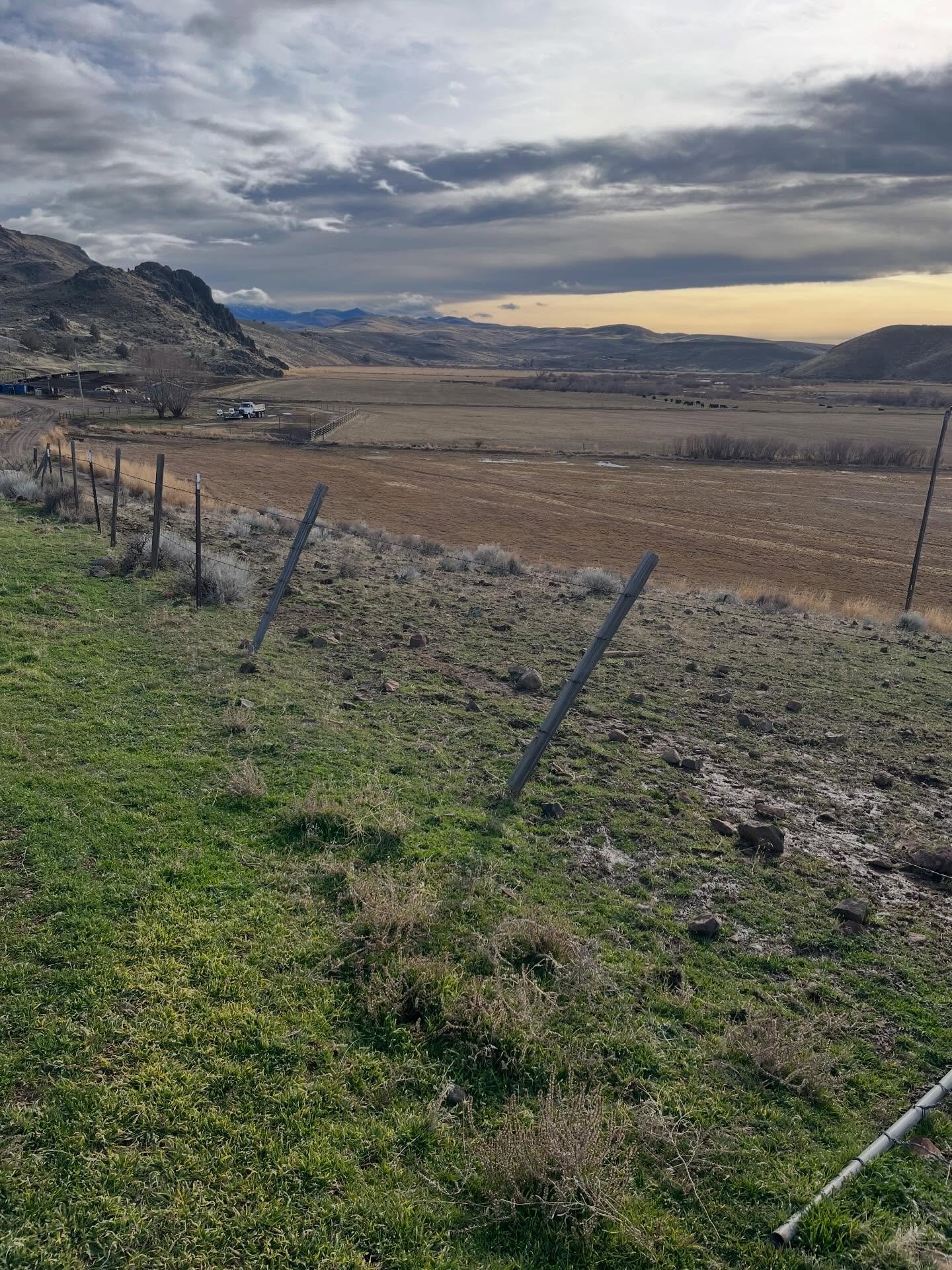 We are starting the year off with rain, green grass, and a baby goat! Here&rsquo;s to 2026! Let&rsquo;s go!!!