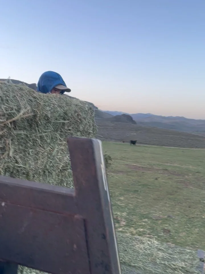 Jax was up early helping me feed so we could pickup a water truck in Boise today. We will be hauling water to our cows for a few months since there is no drinking water. We didn&rsquo;t get any run off to fill the stock ponds.  We are glad to have th