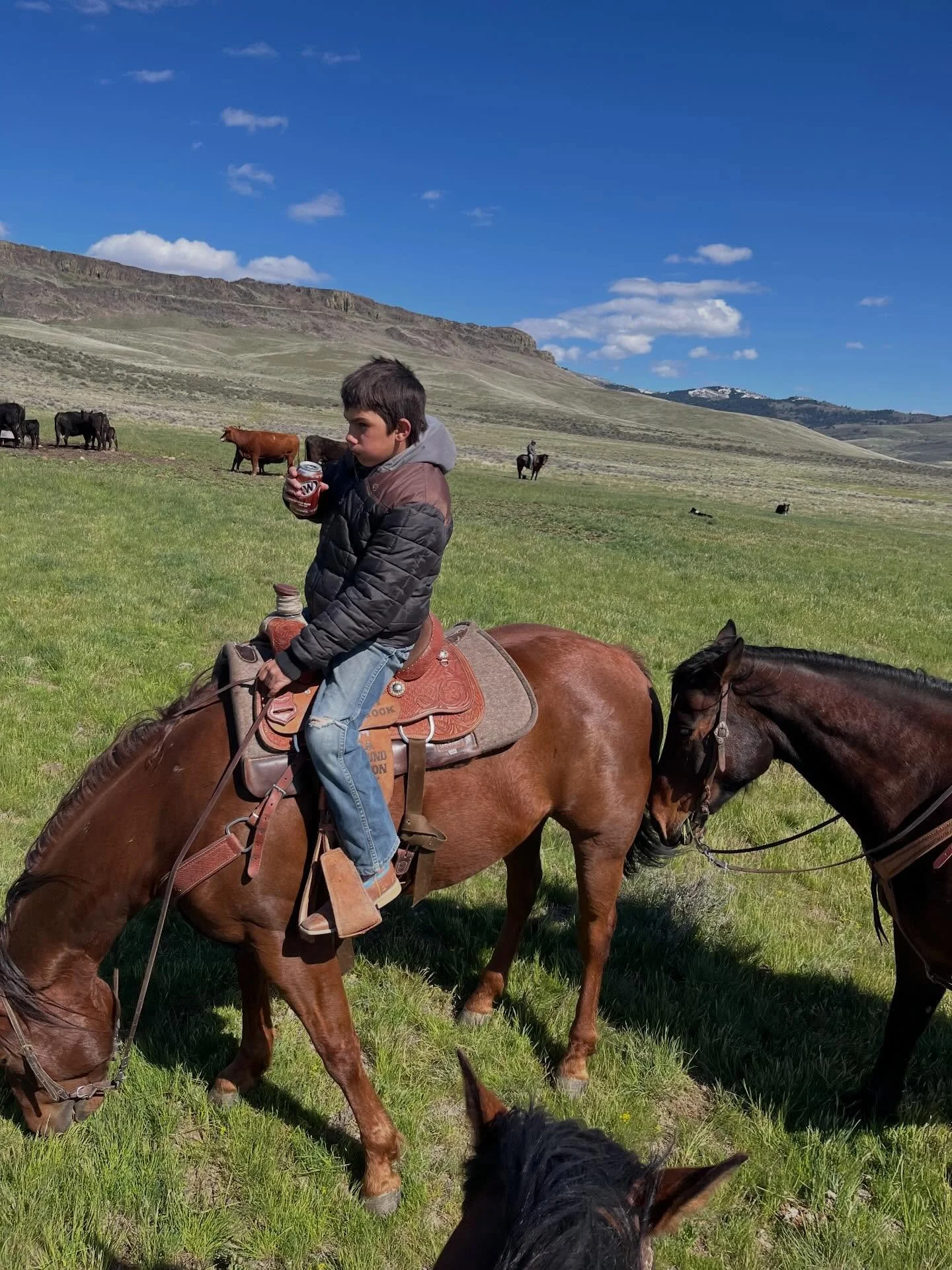 The grass is really looking good up here after the rain. Lots of good feed will make up for hauling water!