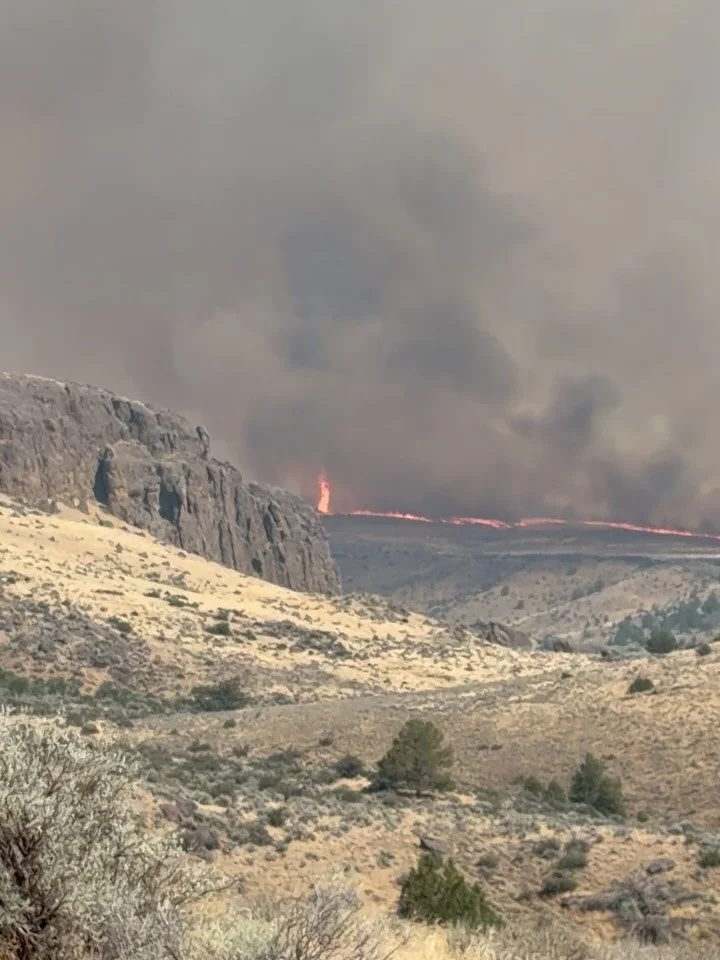 We are glad things are getting back to normal. We are estimating about 75% of the range ground burned but we have part of our summer range that didn&rsquo;t burn and we are glad to have it. So many neighbors were not as lucky. Looking forward, the fa