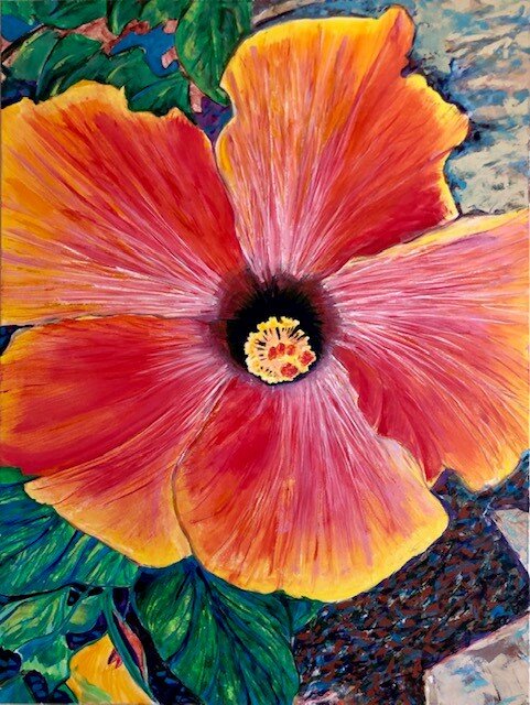 Sunburst Hibiscus
