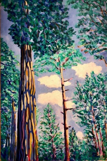 Ponderosa Pines North Rim