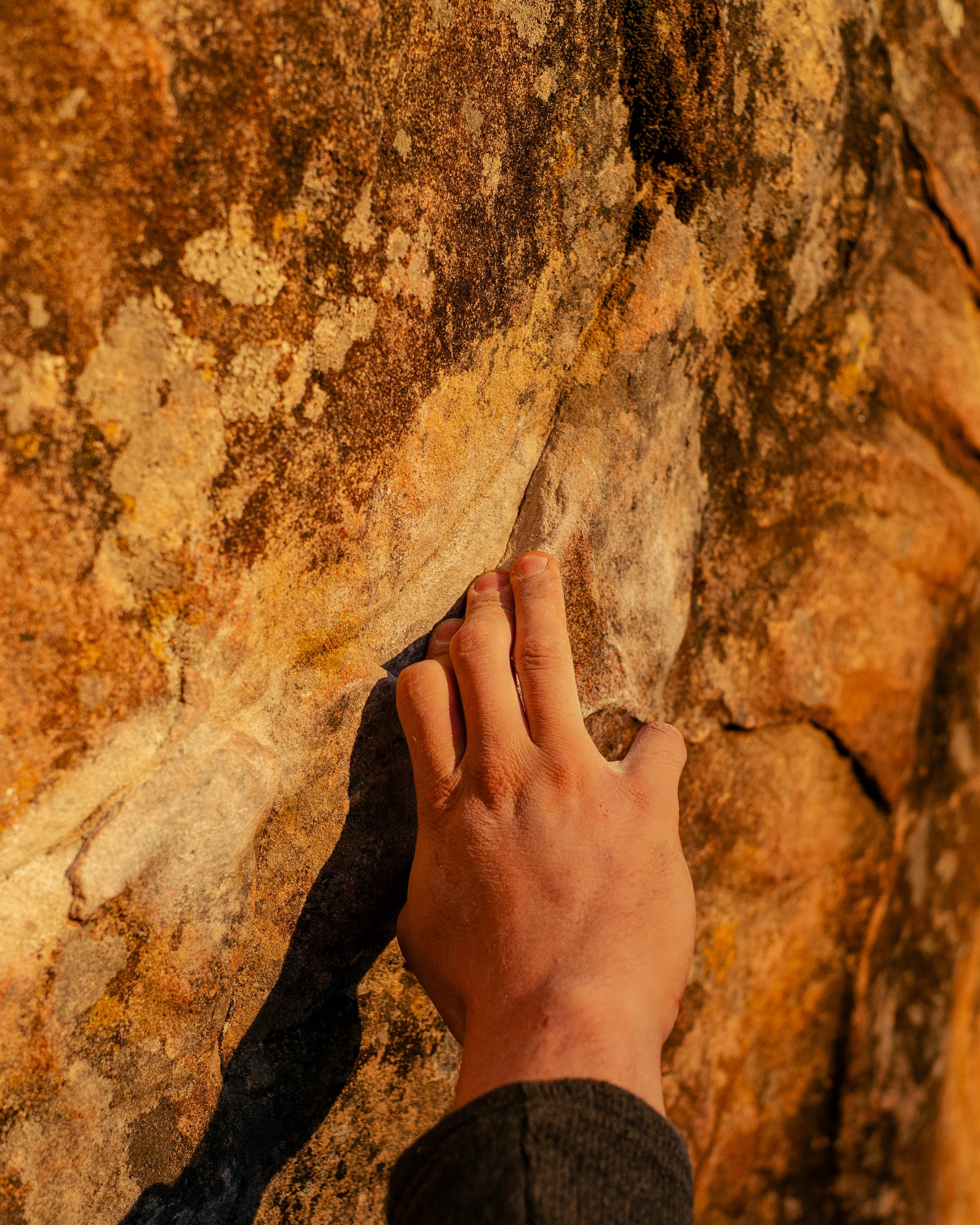 Pine Mountain-Texture2-6845.jpg