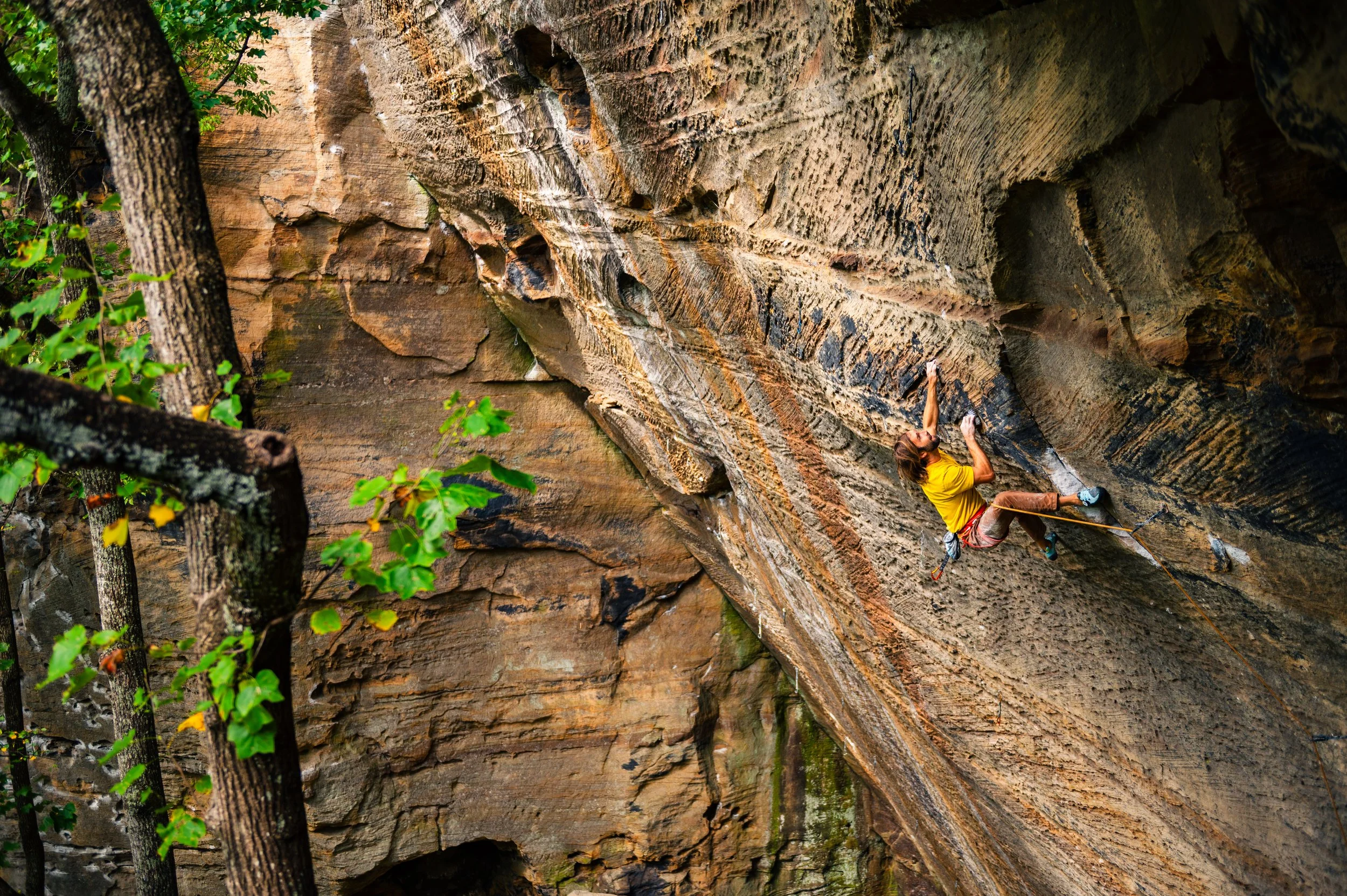 HansHo_GoldenTicket_RRG_ChrisSharma.jpg