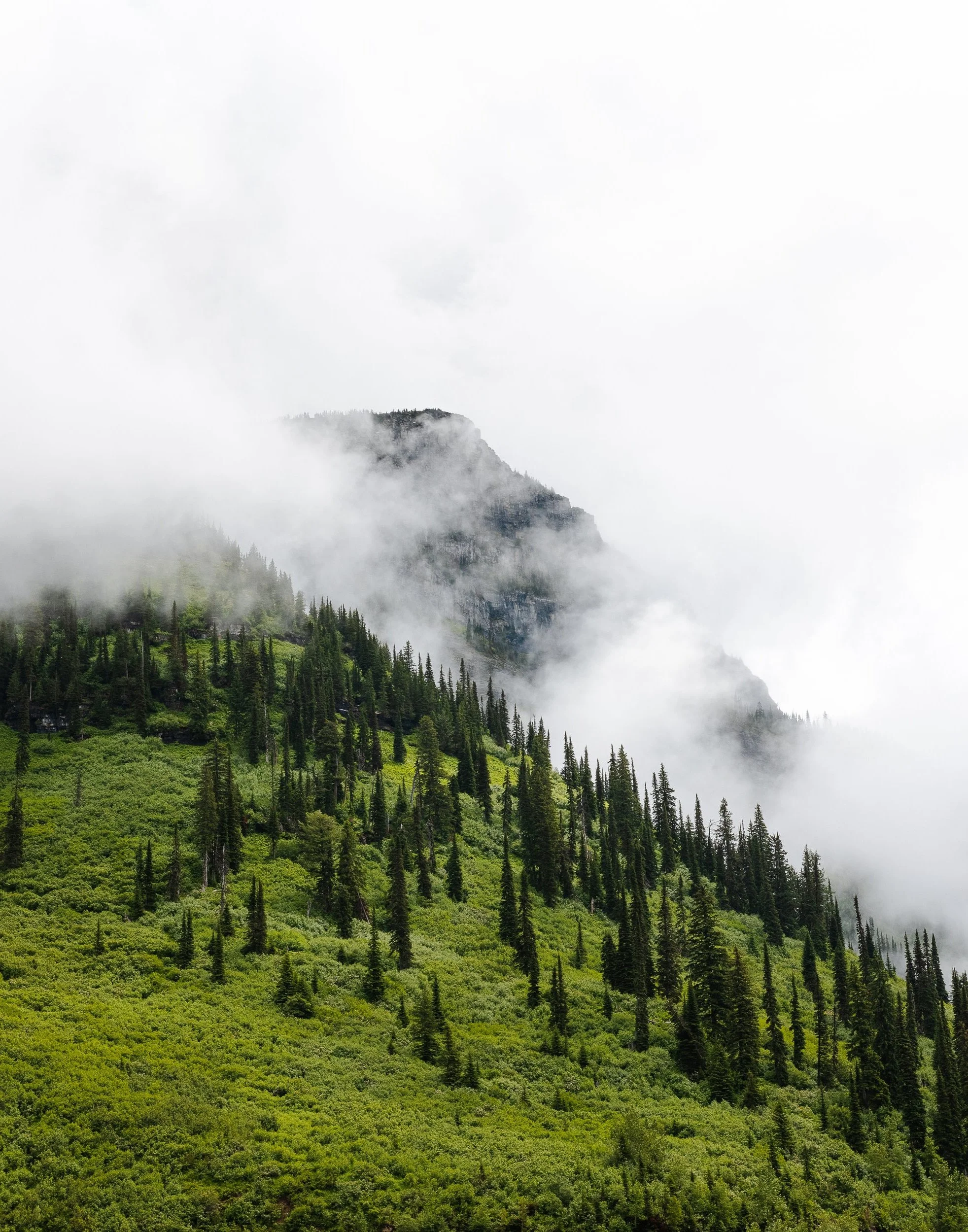 Up+in+the+Clouds.jpg