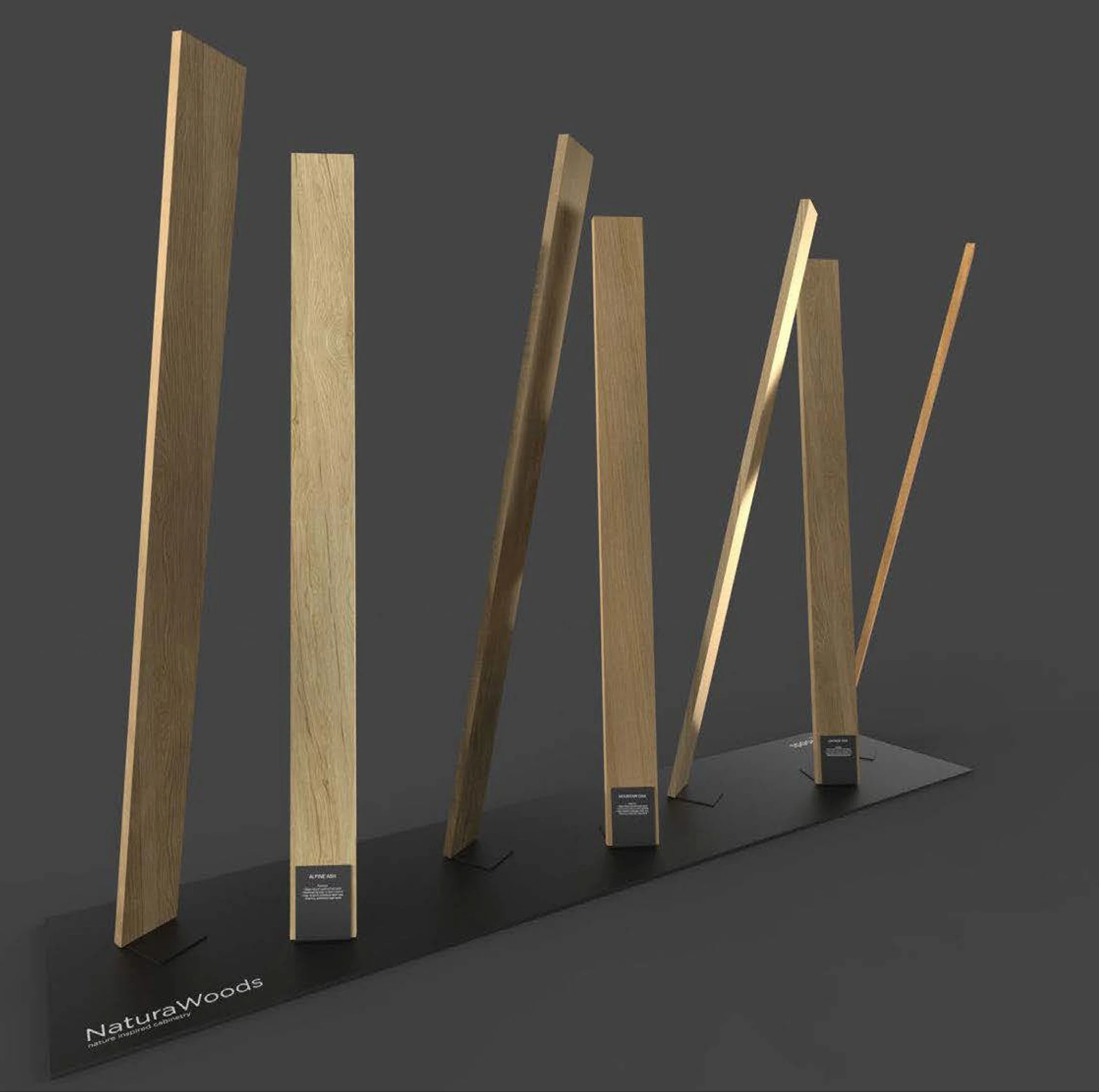 Anthony Franze Portfolio 2019v2-45.jpg