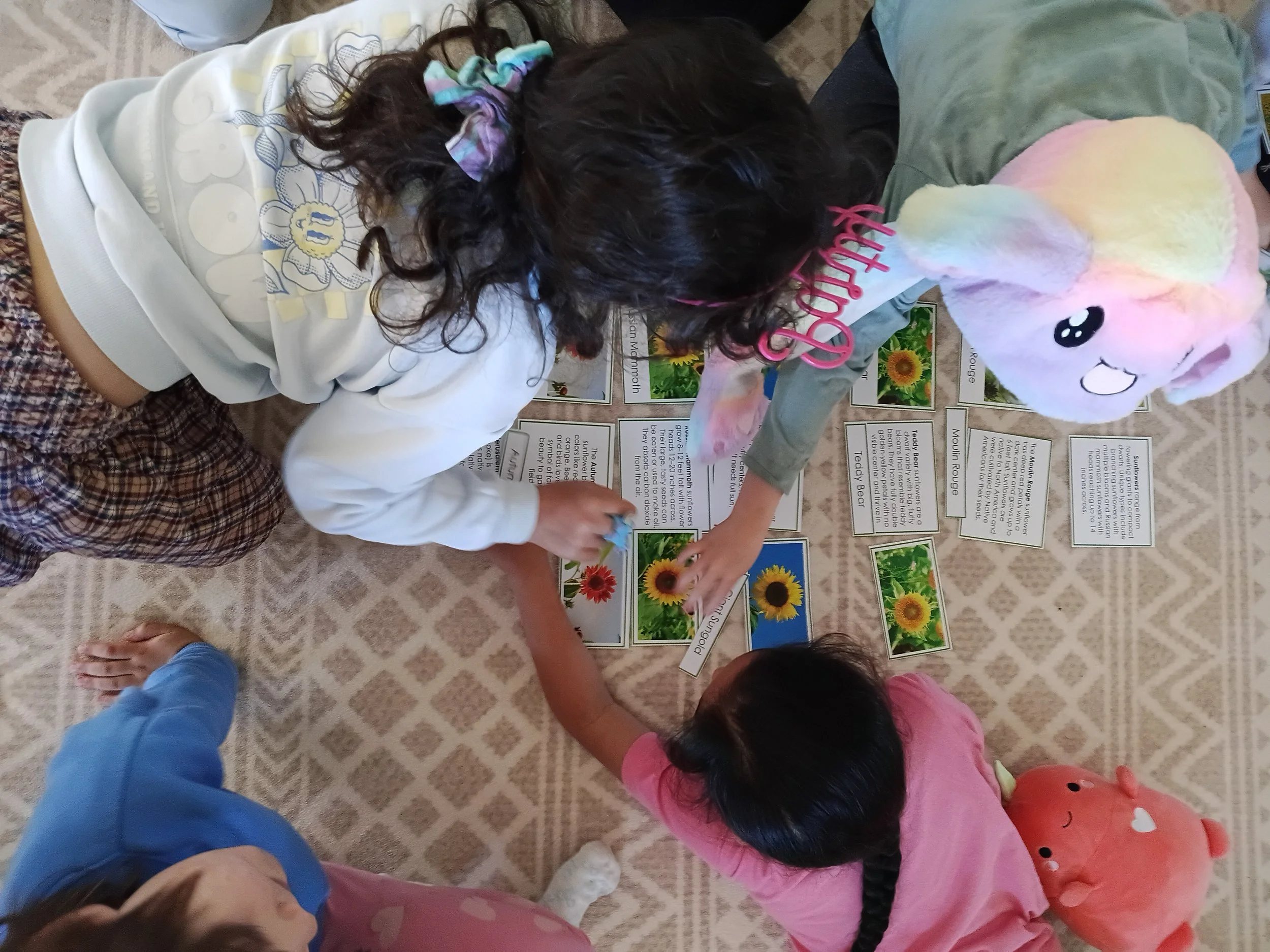 Children working together with botanical learning cards in the Montessori classroom