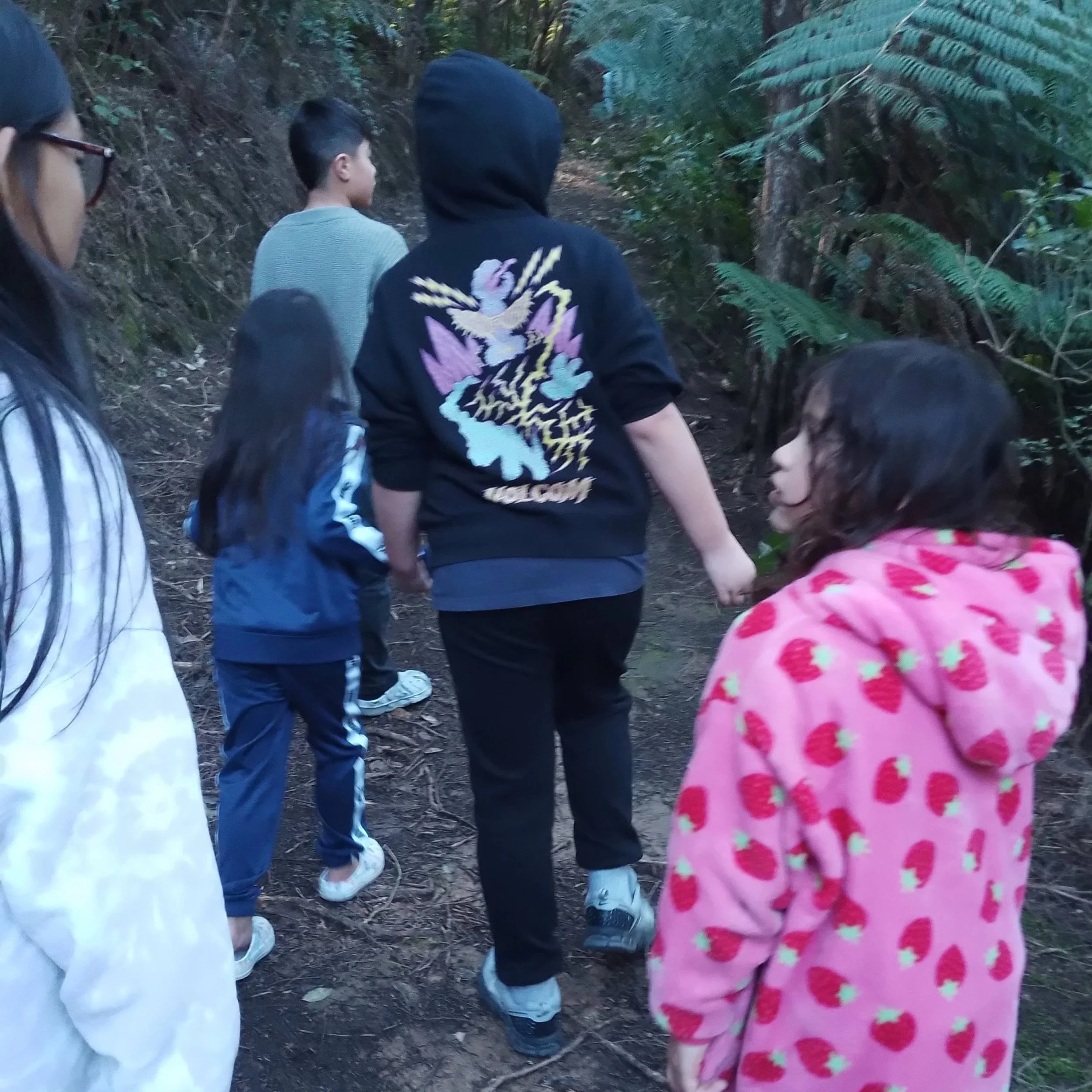 Group of children walking on a dirt trail through a lush, green forest.