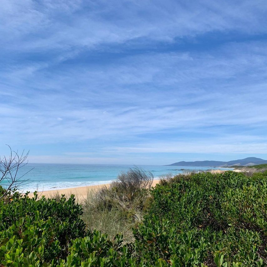 A glimpse of Spring and beautiful Beaumaris Beach&hellip; @moonbirdbeachshack 

🙏🏼 @ingriddaniell 

#linkinbio 👆🏼🌊🏄&zwj;♂️🌈
#eastcoasttasmania #seetasmania #airbnb #accommodation #ecotravel #shacklifetasmania