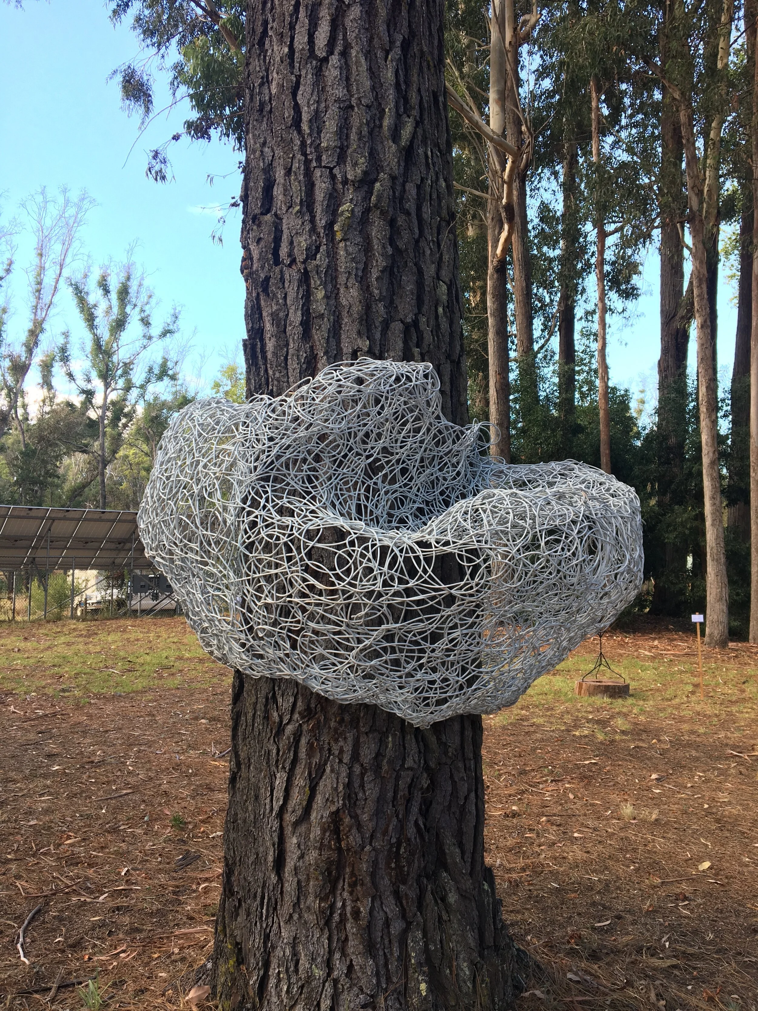 Curvilinear 4, 2016, randomly woven cane Image courtesy the artist