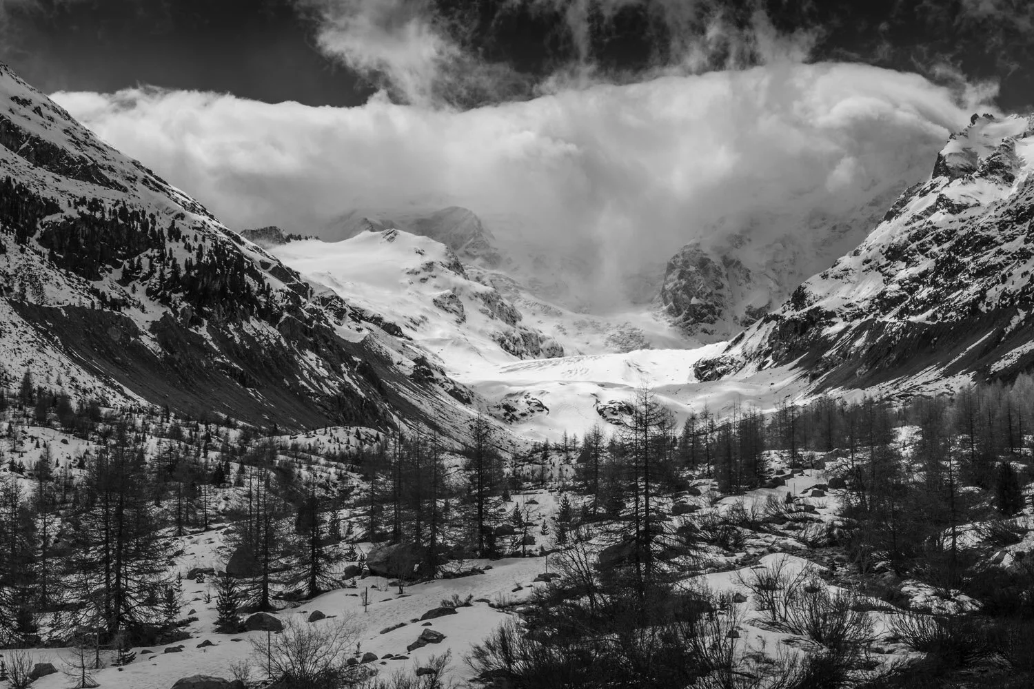  Morteratsch Glacier, Bündner Alps, Switzerland. 2013 