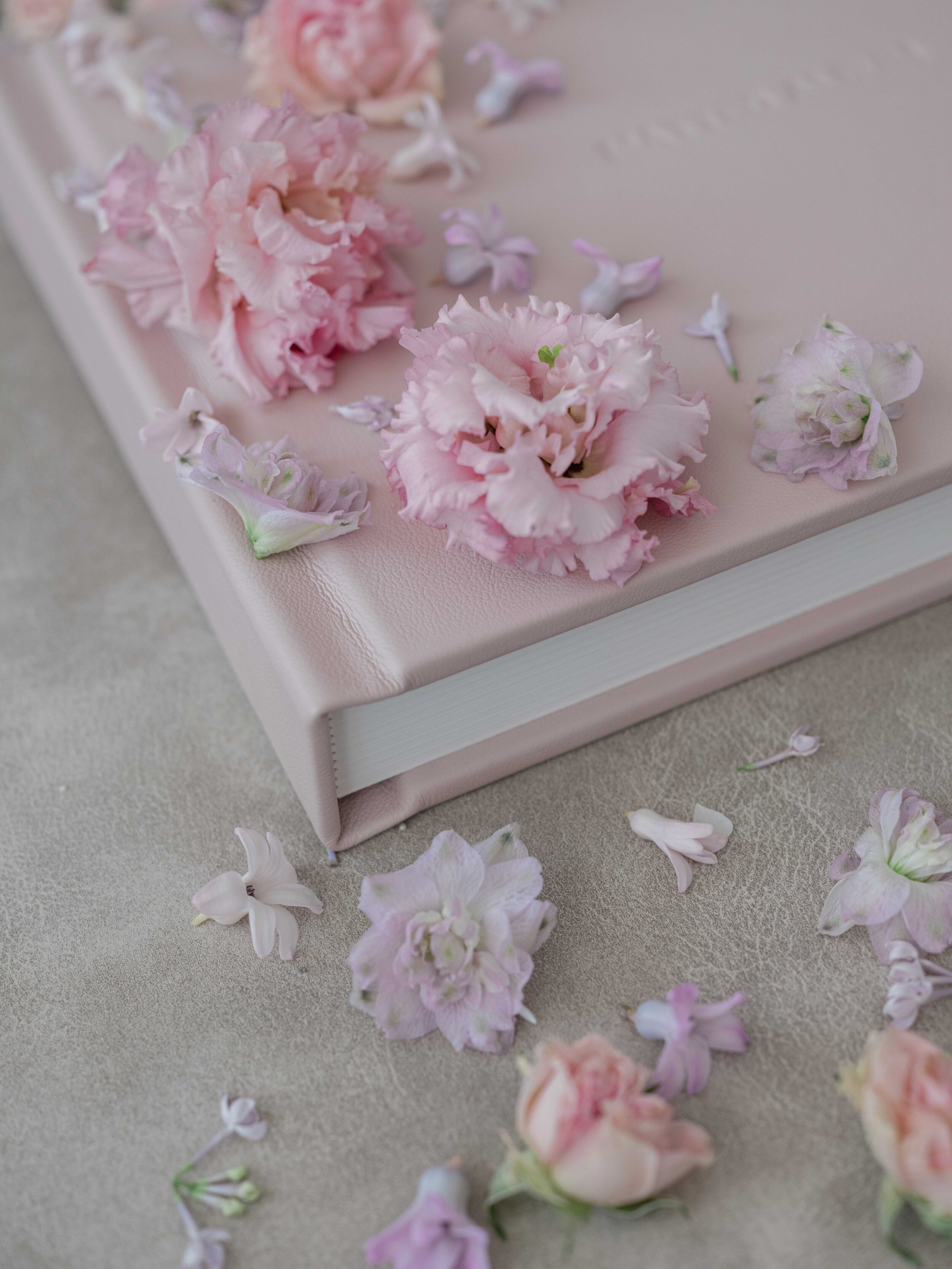 ALBUM FLAT LAY (22 sur 44).jpg