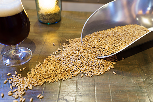 Stronghouse_Brewery_015.png