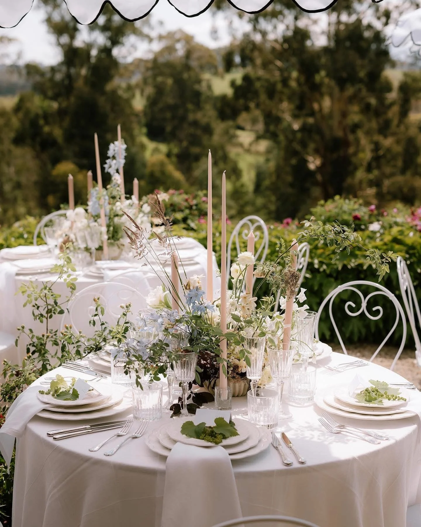 A whisper of Europe, nestled in the heart of Kallista 🍃

@weddingsofdesire 
@katie_harmsworth 
@refinetheworkshop 
@montdusoleil 
@social.eventhire 
@ivoryandstone.co 
@tablearteventhire 
@hardinghand 

#GardenWedding #ModernRomance #springwedding #