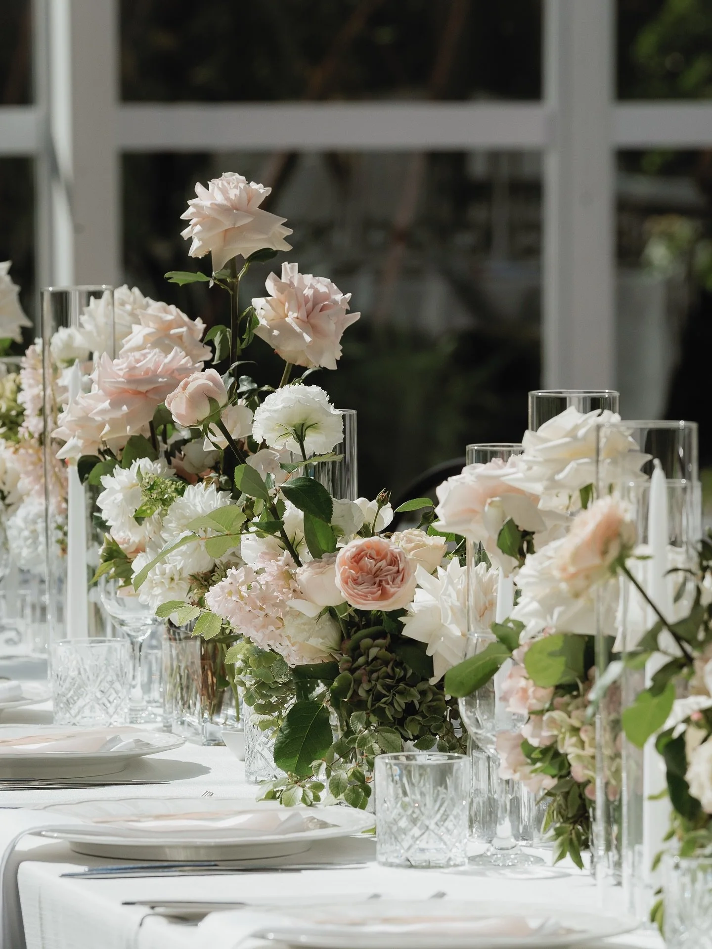 Marquee magic wrapped in autumn&rsquo;s quiet elegance.
Nestled within the Botanic Gardens, this romantic celebration unfolded beneath a canopy of soft light and turning leaves. Autumnal hydrangea and cloud-soft roses took centre stage, their muted t