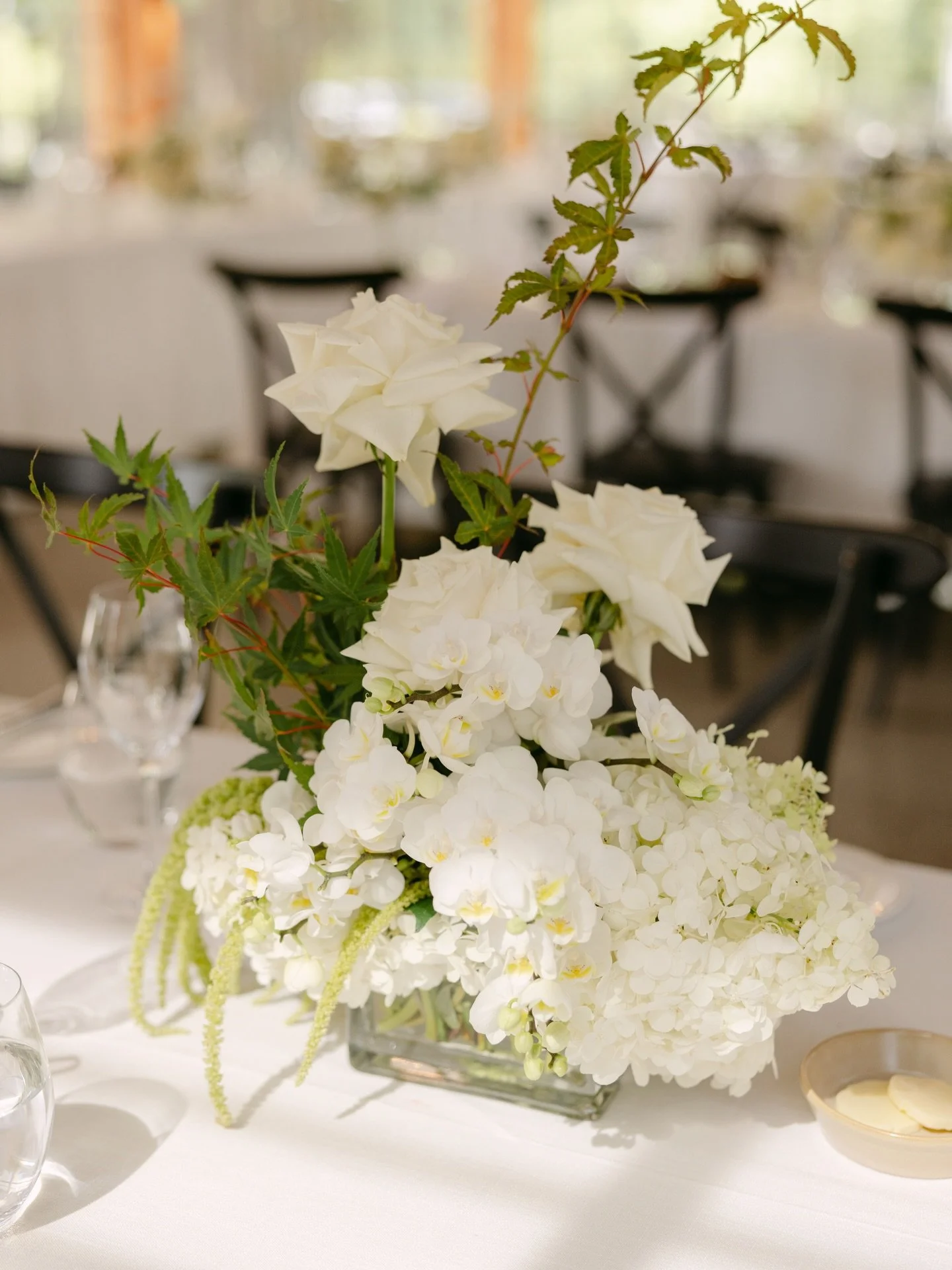 Summery and freshhhh at @coombeyarravalley with @clothandconfettievents + @ashleighhaasephotography 

#flowersstgermain #moderngarden #weddingflorist #modernromance #luxeblooms