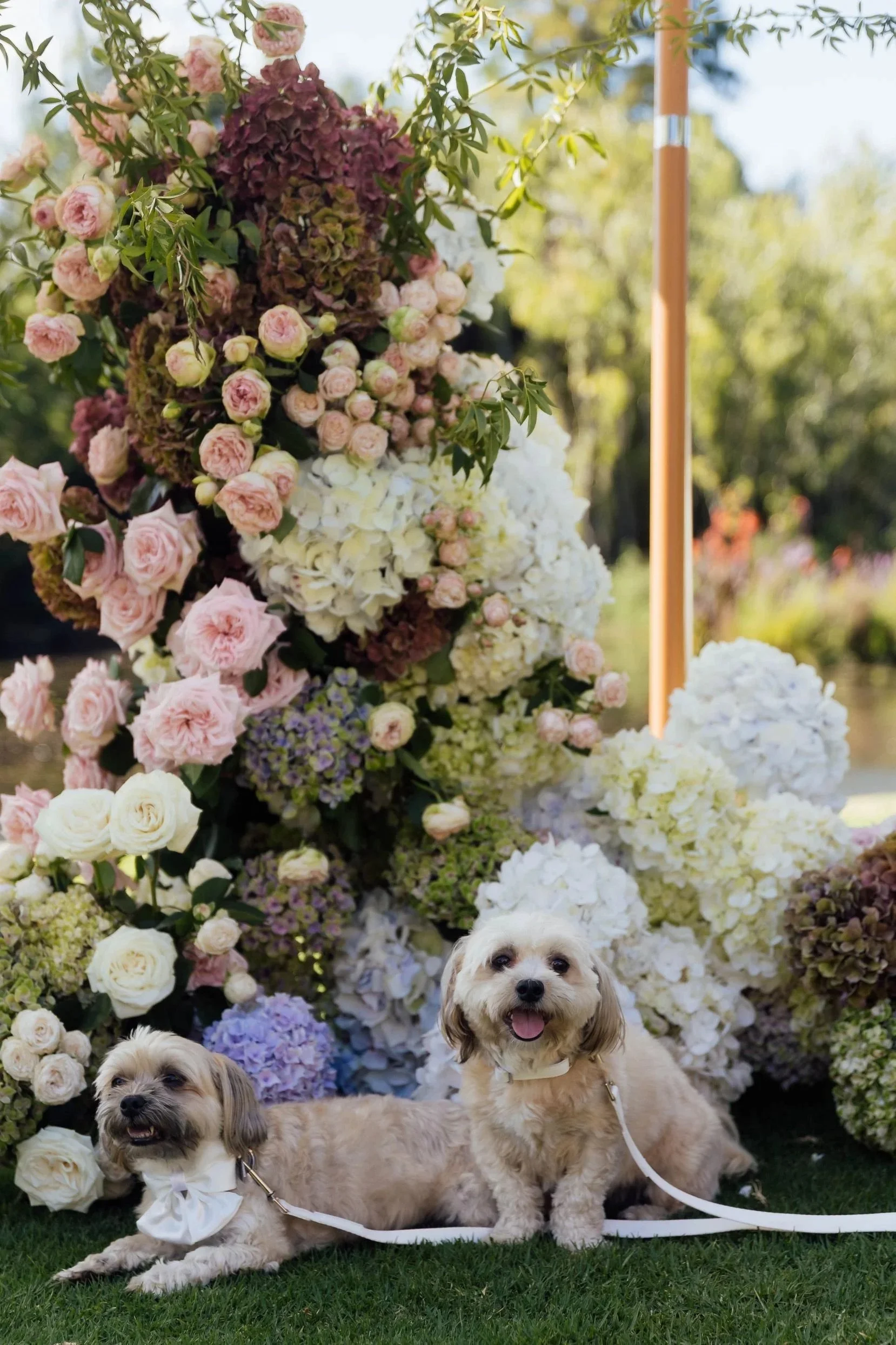 flowers-st-germain-bridal-bouquet-melbourne-florist-11.jpg
