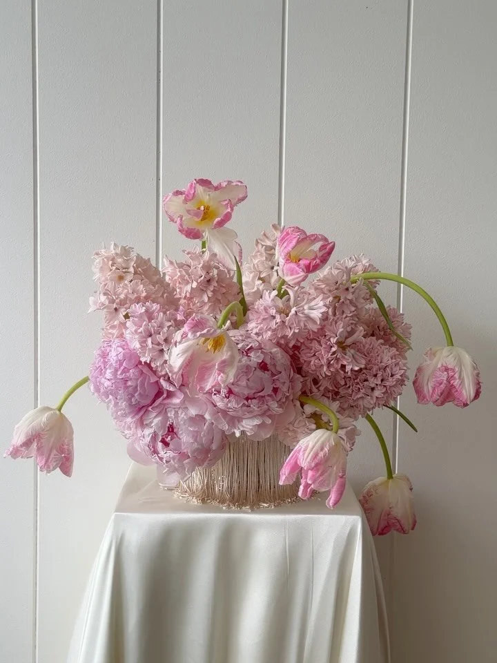 Another Frilly moment with Willy 🌸

#flowersstgermain 
#bulldoglovers 
#studiobts 
#winterblooms 
#pinkaesthetics