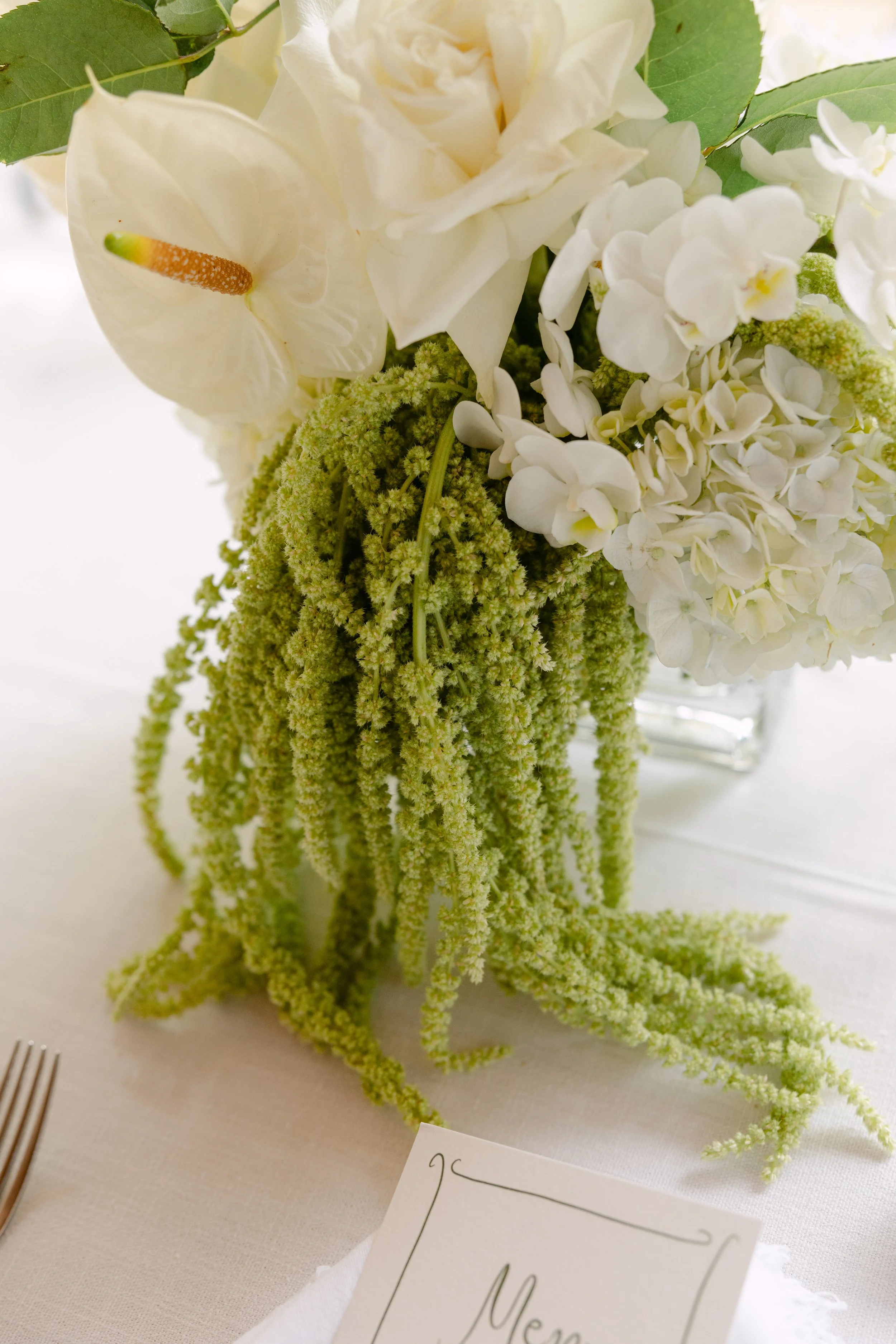 Cloth and Confetti - Ashleigh Haase Photography-399.jpg