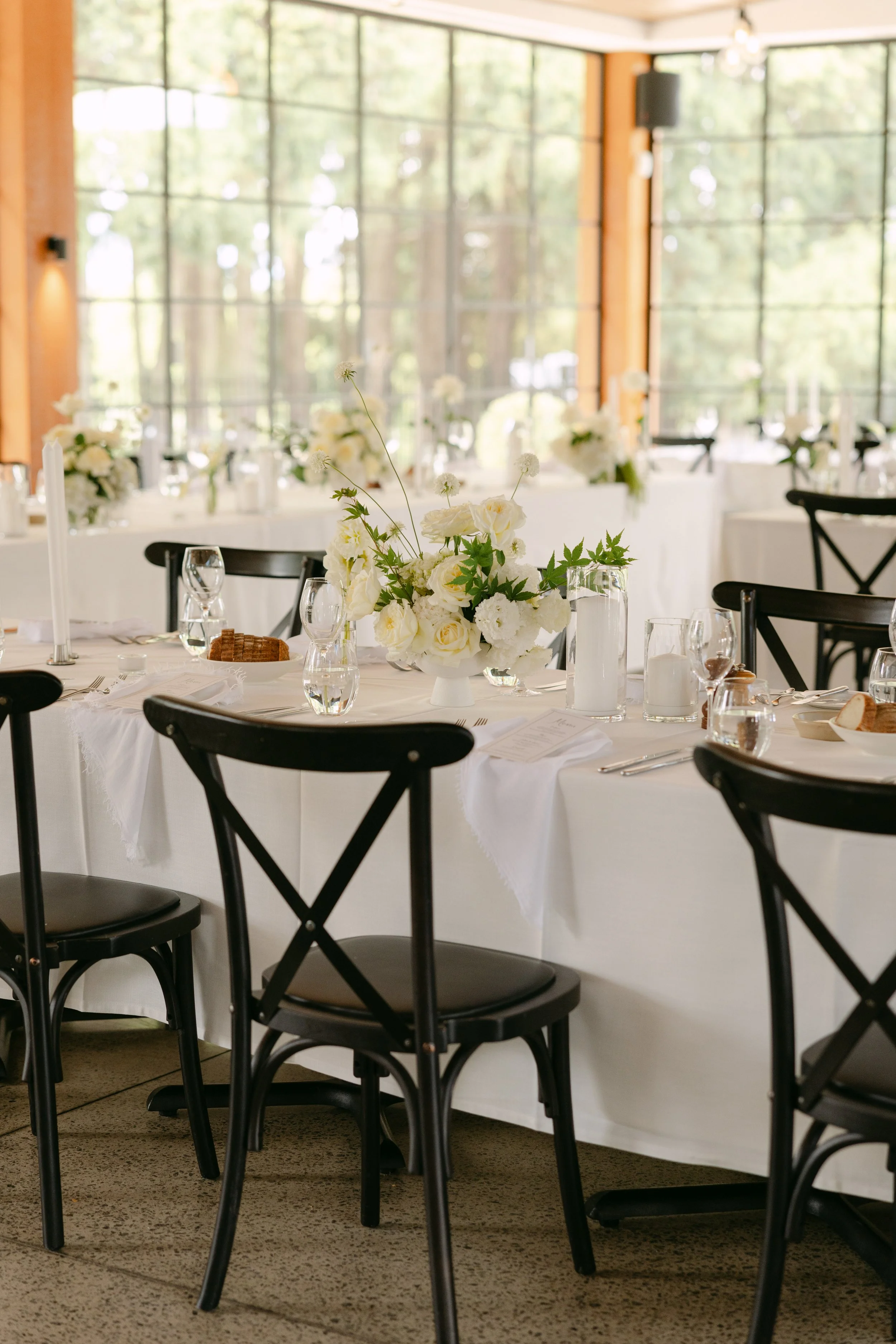 Cloth and Confetti - Ashleigh Haase Photography-207.jpg