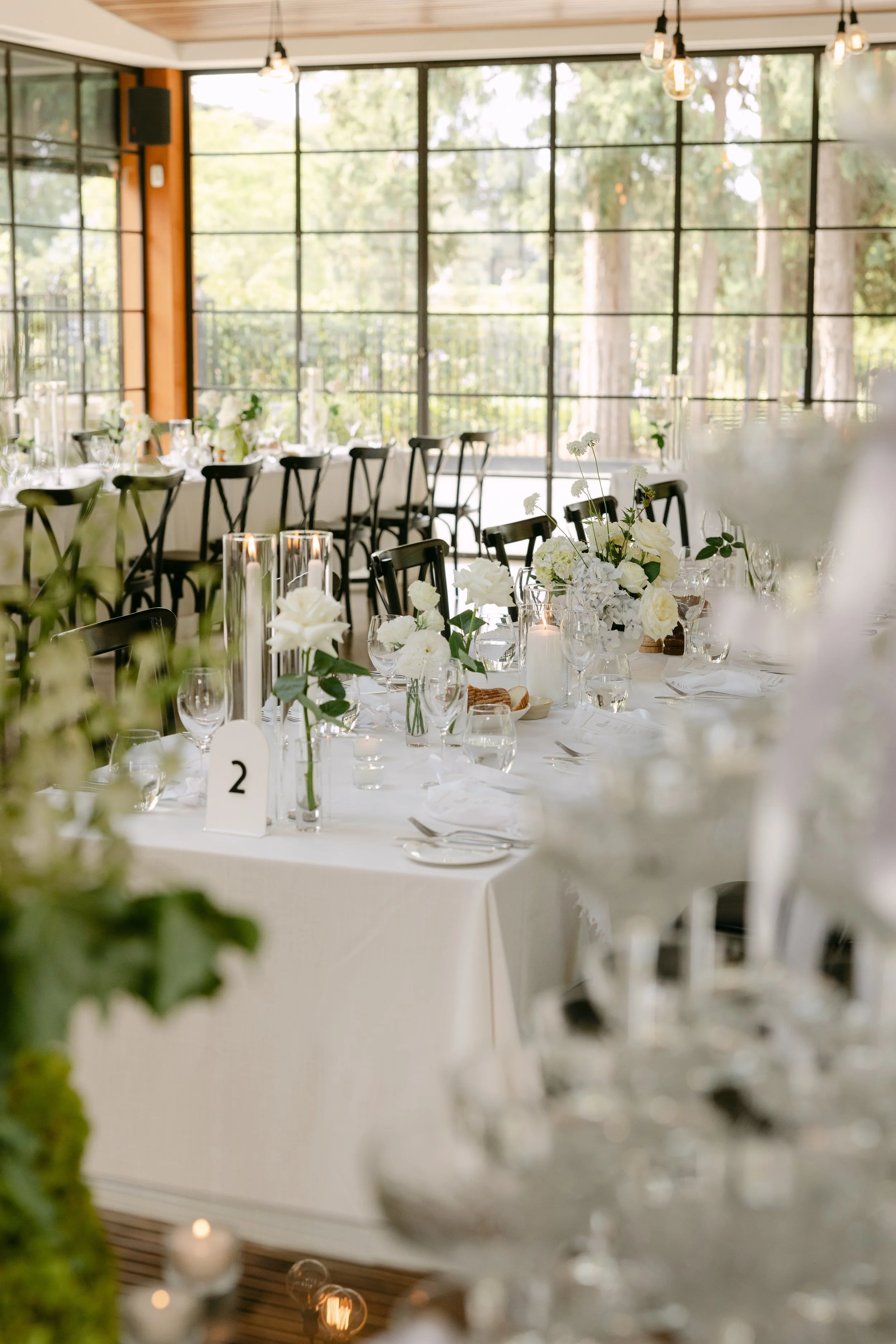 Cloth and Confetti - Ashleigh Haase Photography-361.jpg