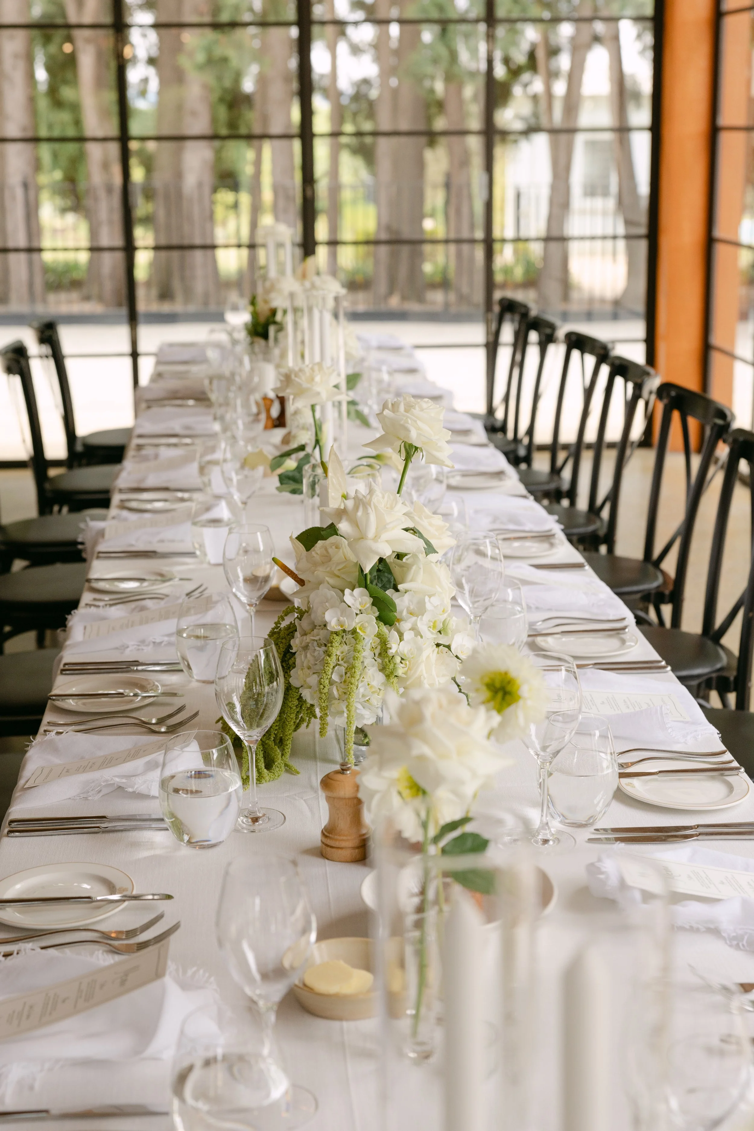 Cloth and Confetti - Ashleigh Haase Photography-269.jpg