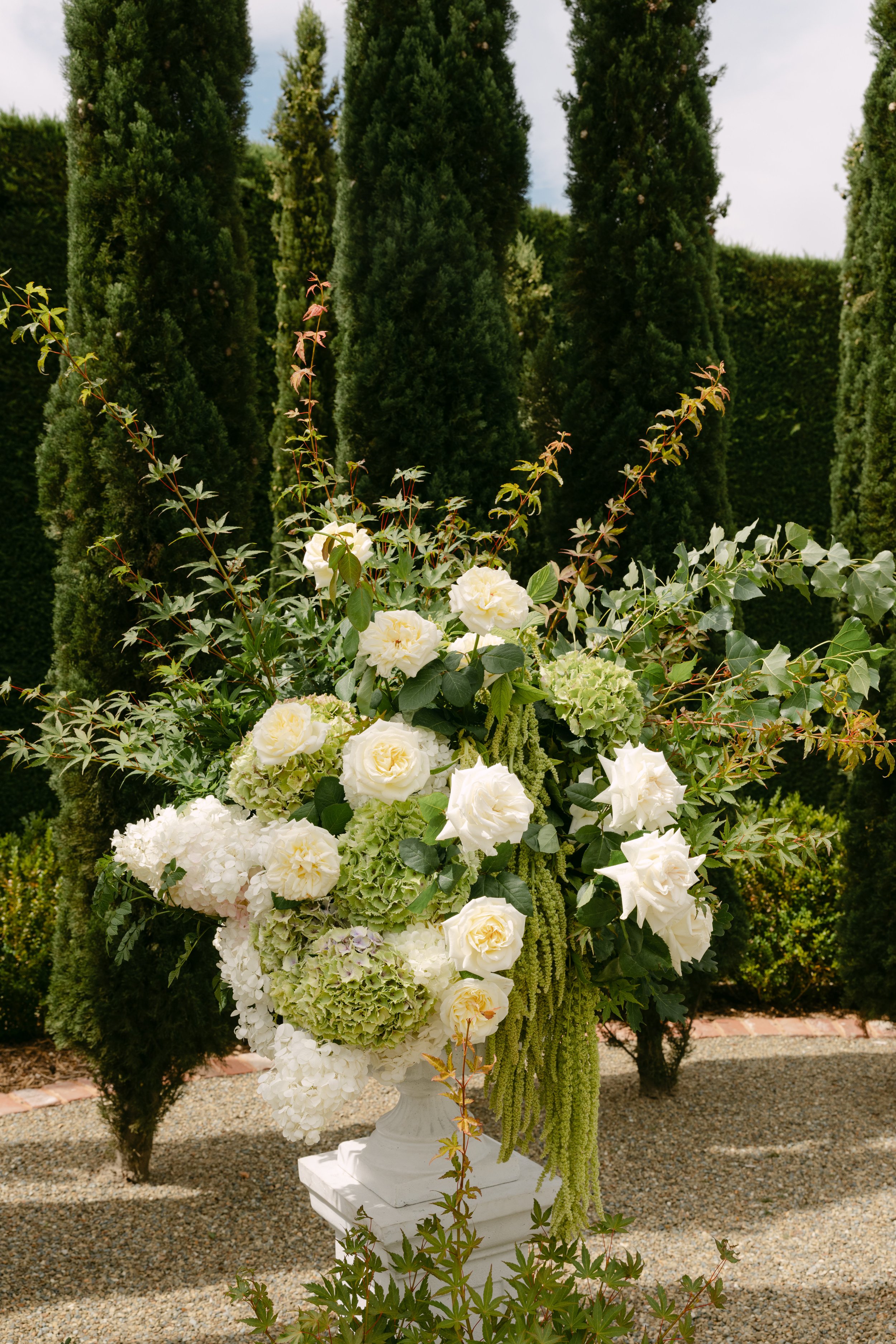 Cloth and Confetti - Ashleigh Haase Photography-21.jpg