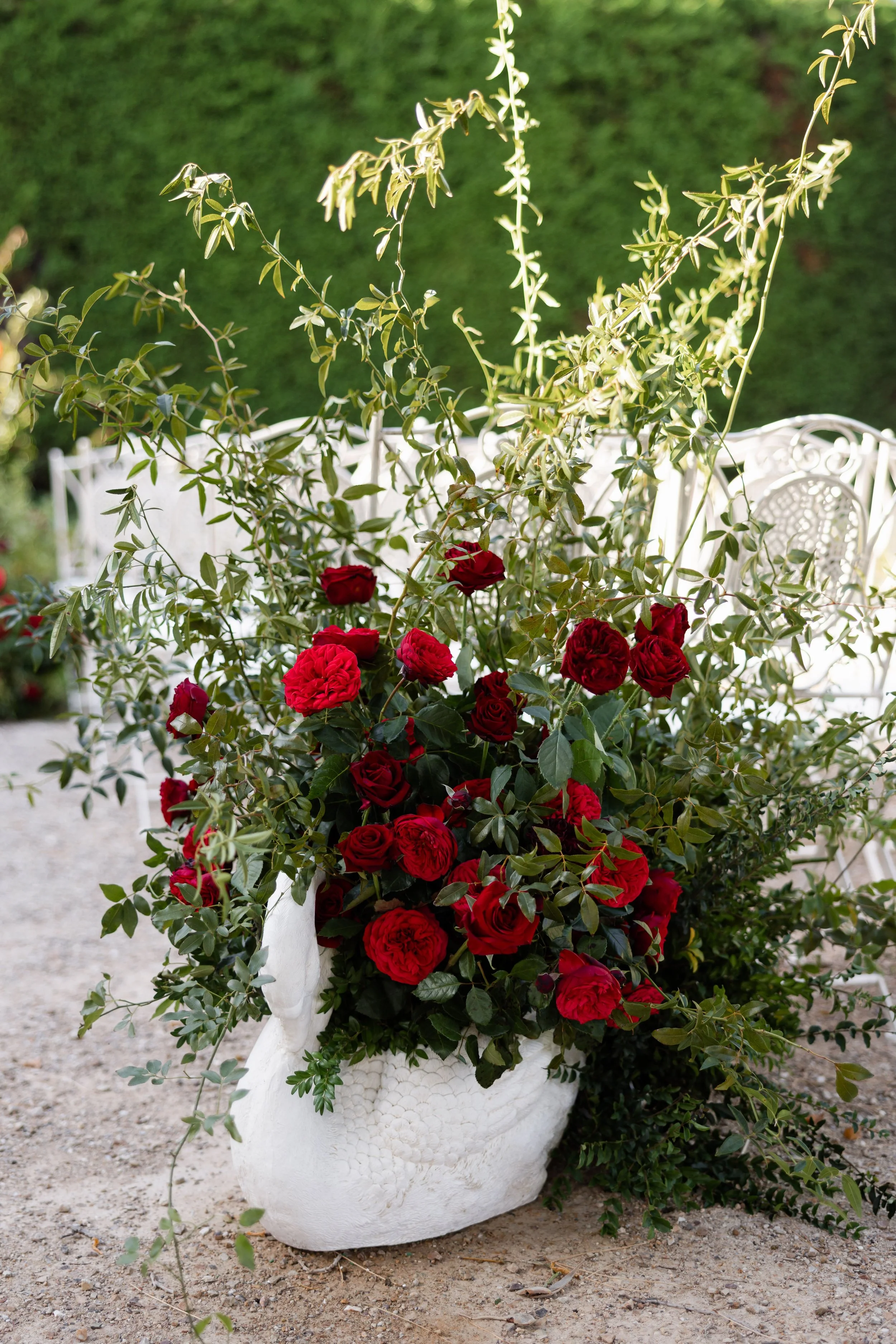 A white decorative garden sculpture shaped like a swan filled with red roses and green foliage, set outdoors on a gravel ground with a green hedge in the background.