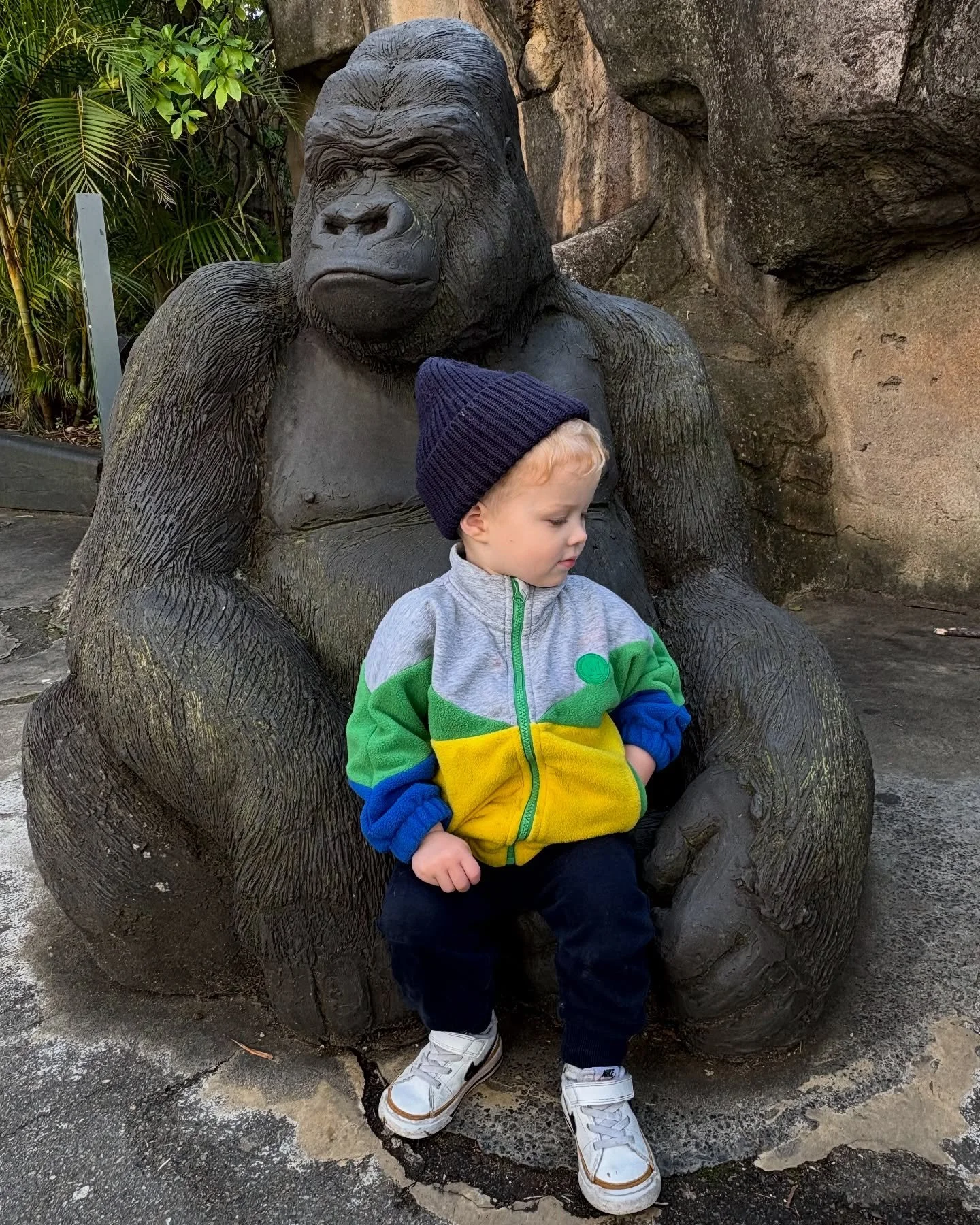 ✖️Taronga Zoo 💛🦒🦁 Leo was so excited for our zoo date today, he couldn&rsquo;t stop pointing, chatting and running from one animal to the next. We both had the biggest smiles all day and the best cuddles on the way home. A day we&rsquo;ll both rem