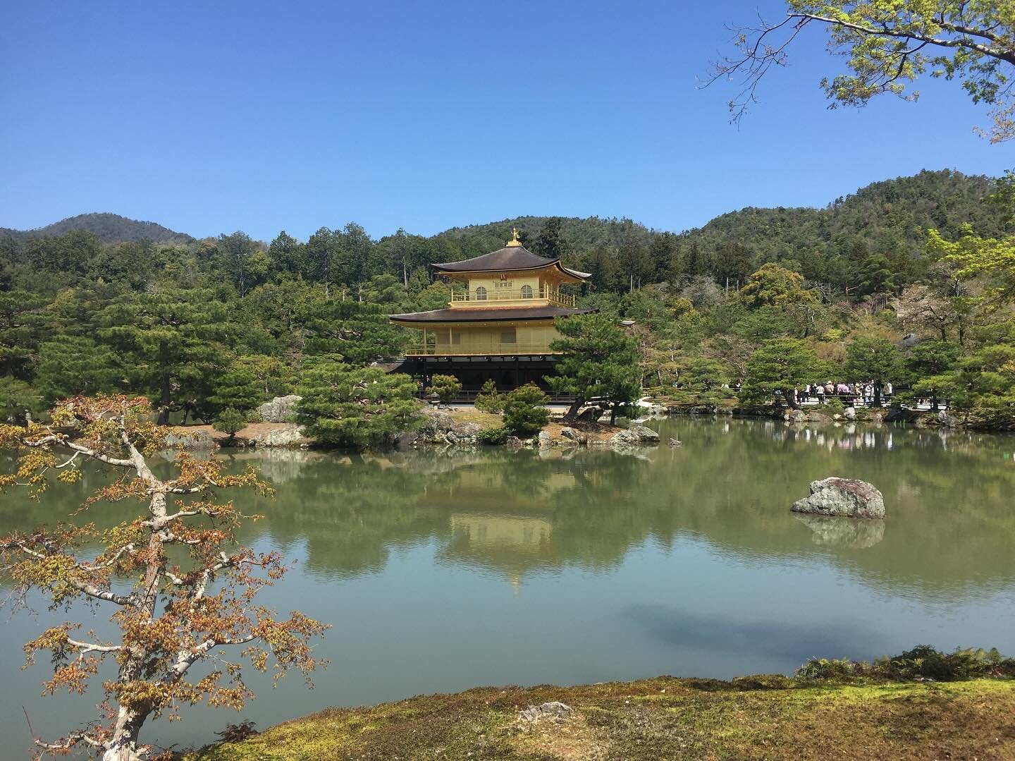 I&rsquo;m in Japan until 16 April. I&rsquo;ve not posted previously to today because I have been terribly sick with food poisoning, and I&rsquo;m just feeling better now. I am here for 9 days for Aikido, and look forward to getting back to real life 