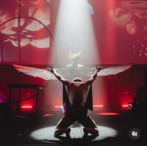 Images of my show w Sai Jaiden Lillith at ULTRA VIOLET at City Recital Hall for #Sydney #Mardigras ! I'd like to thank DJ Sveta &amp; Estee Lauder for asking me to perform &amp; to Sai @ Infernal Desire Machine for flying for me! #shibari Photos: Tan