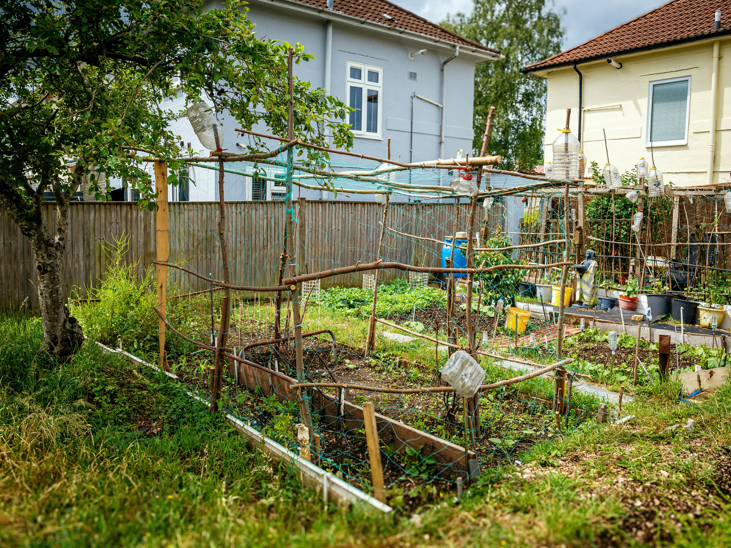 P6100035.jpg