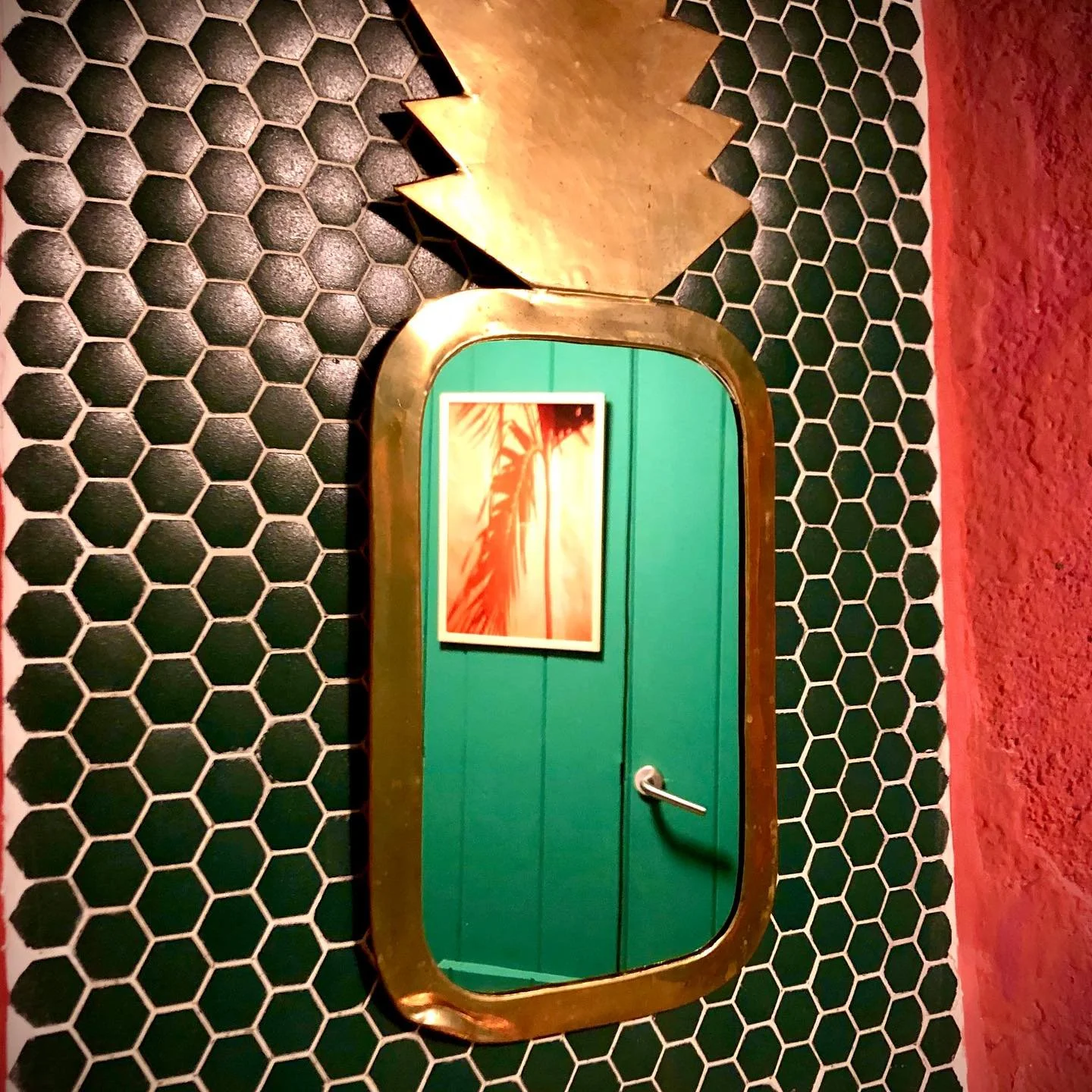 La tierra Brilla. 💥