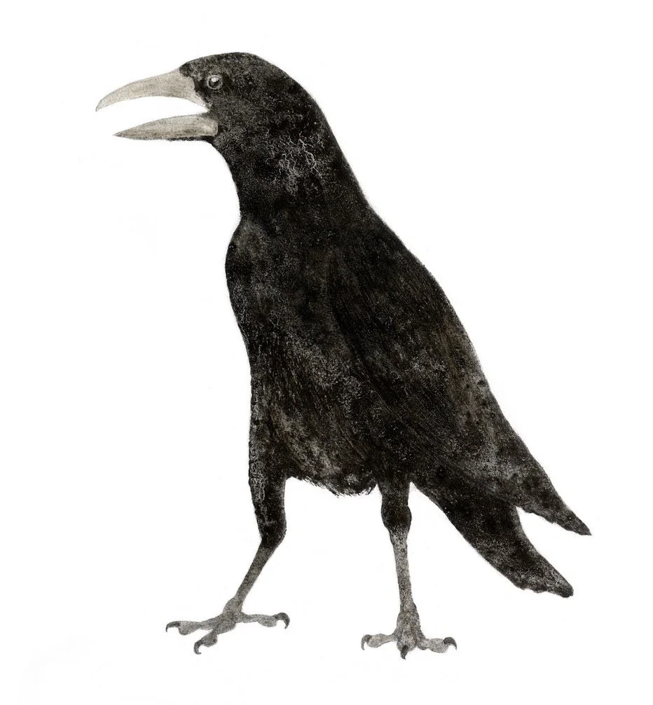 Earth Crow