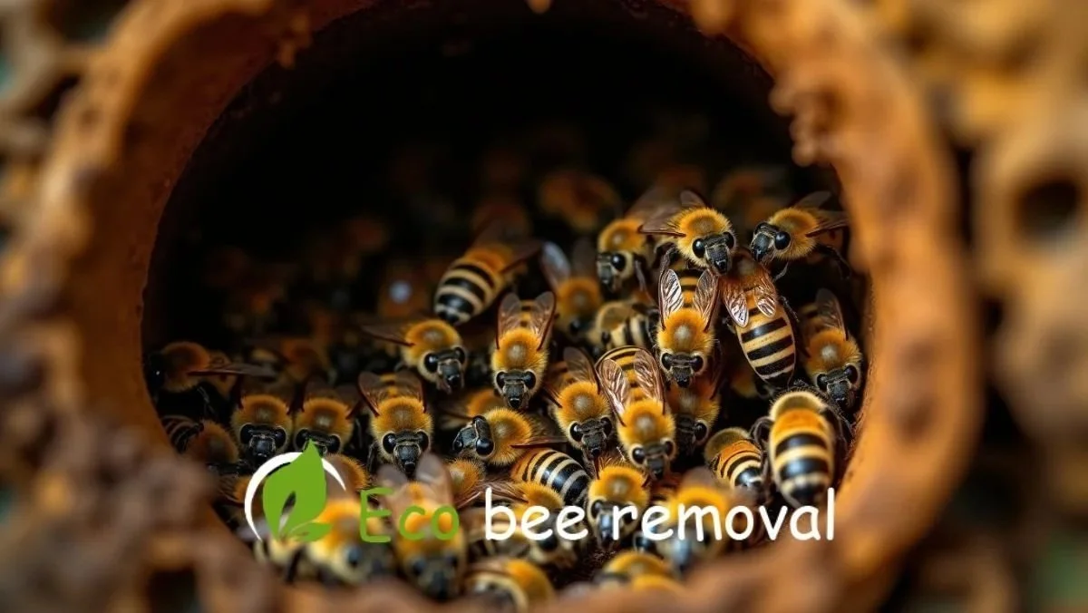 How Bees Use Vibration to Communicate Inside Dark Spaces.