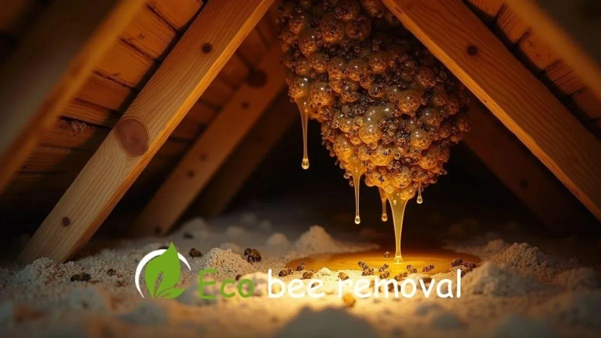 The Science Behind Honey Melting in Attics During Summer