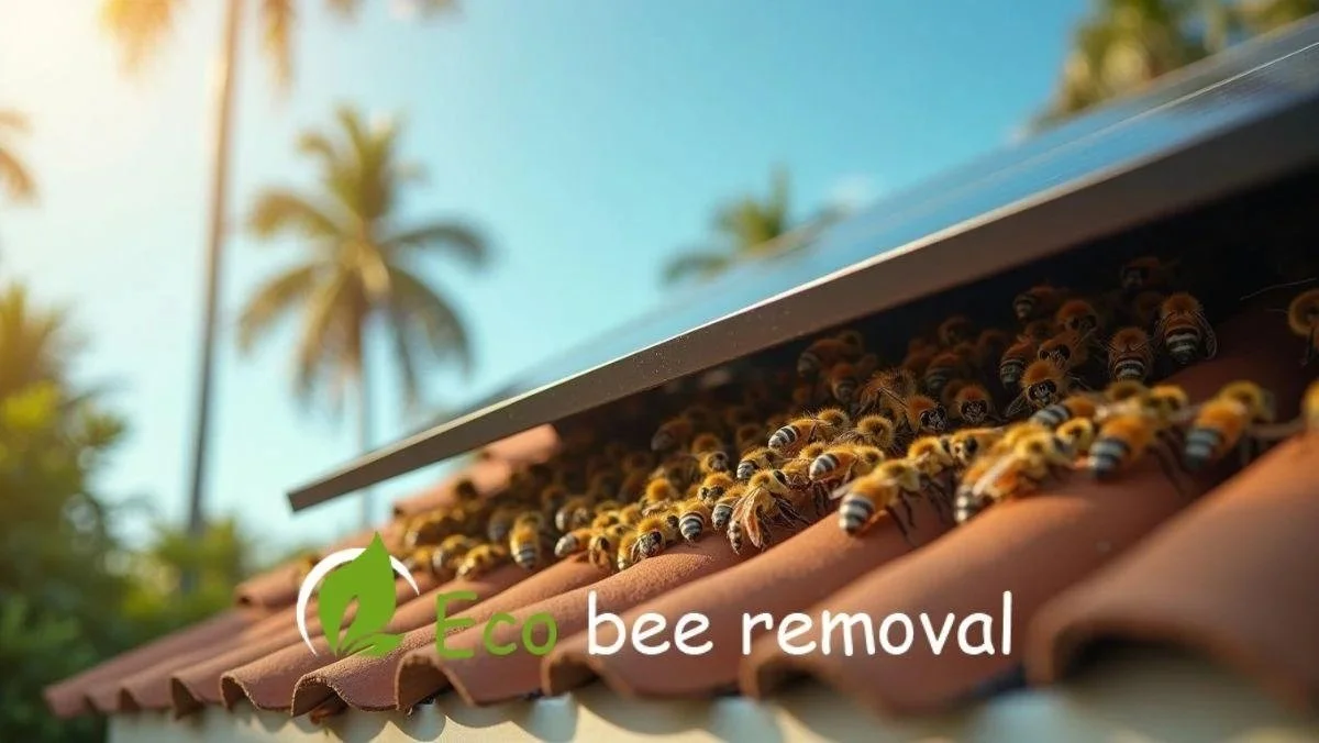 Why Solar Panels in Florida Are Becoming New Hive Hotspots.