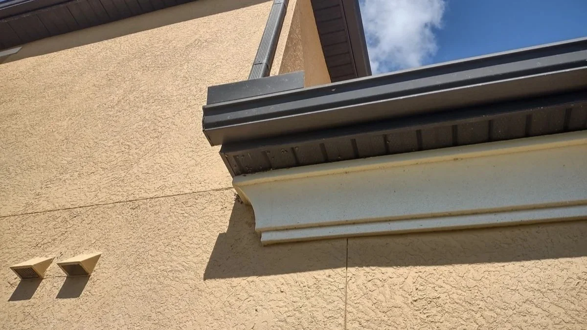 Exterior house roof soffit and gutter during a professional bee removal inspection.