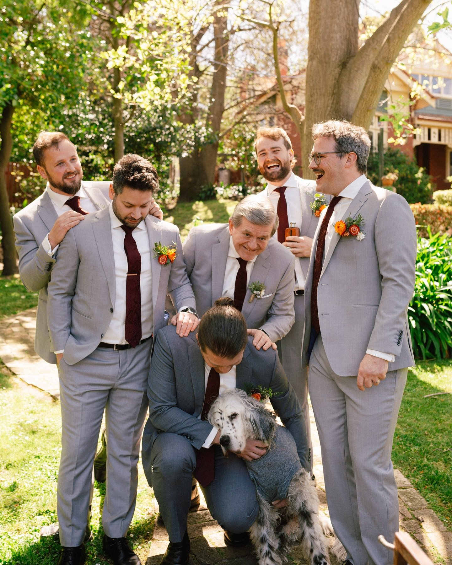 Always take the time to hug your pets. 
More from the epic Nicola x Nick wedding on Saturday! Ft. The Gandalf staff gifted to Nicola 3 months into their relationship; a brave - but clearly successful move.