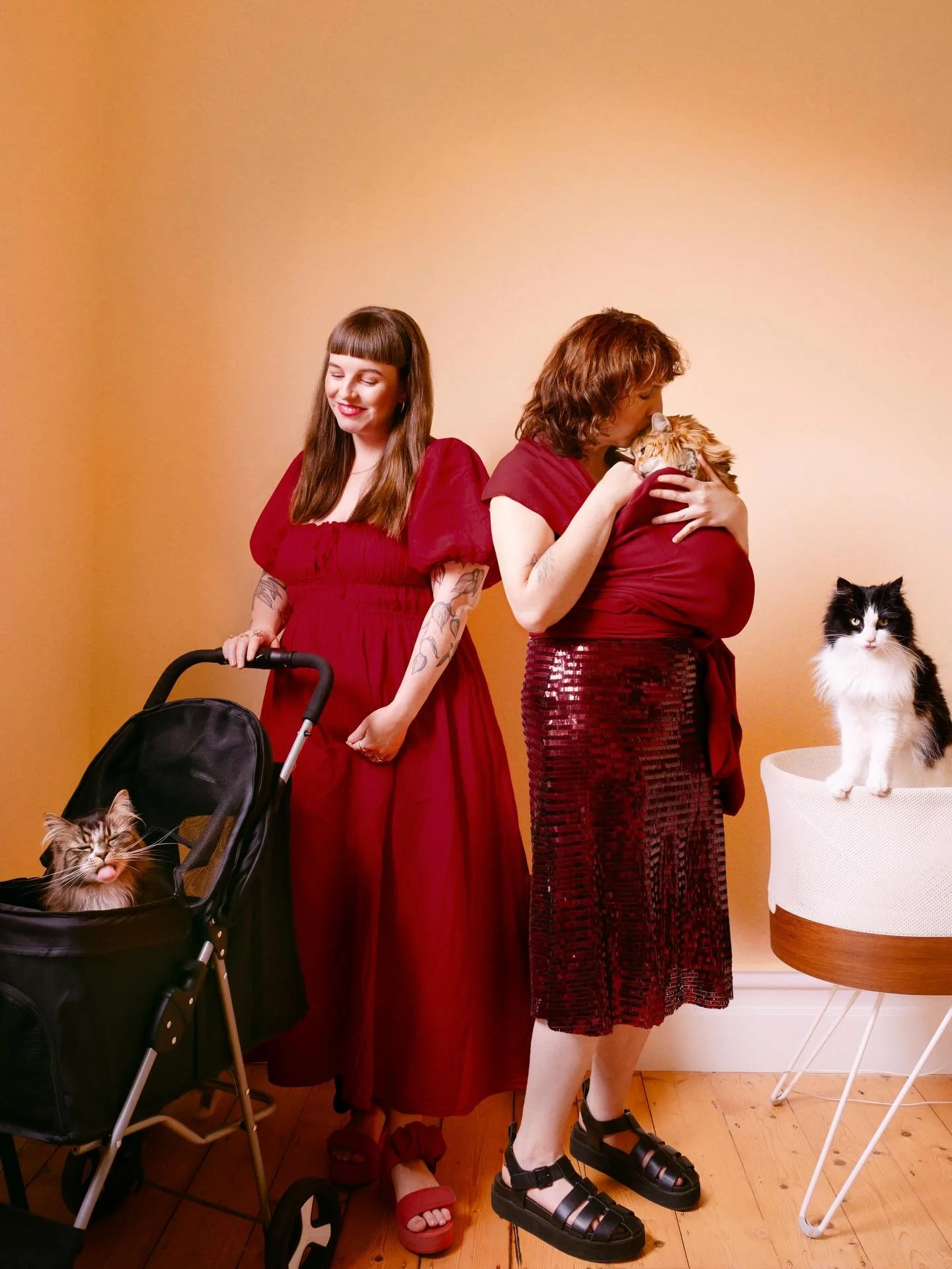 Here&rsquo;s the worst kept secret- Cat and I are expecting a little baby (furless) in May next year ❤️💖. 

We are super excited- not sure the cats will know what&rsquo;s hit em&rsquo; 

Happy Holidays folks! I&rsquo;ll be slow on the emails as I tr