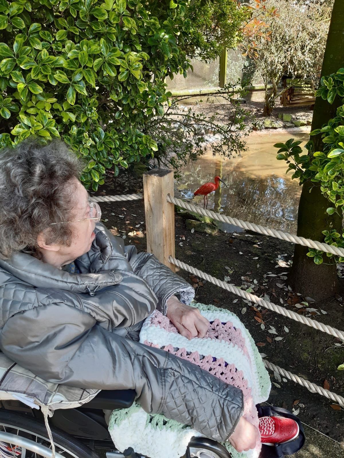 Blackpool Zoo visit by Jah-charity elderly care home