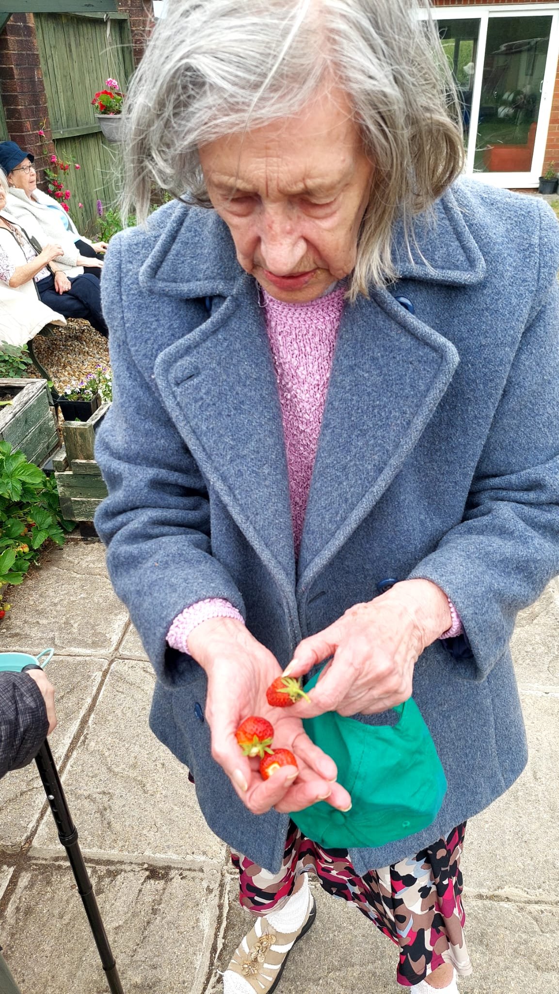 Strawberry picking at Jah-Jireh elderly care homes