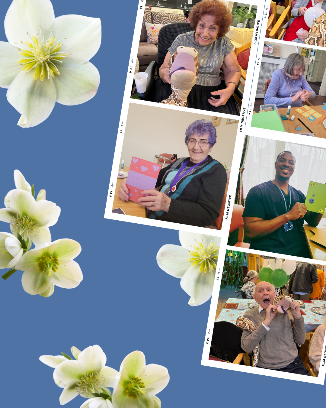 November Update- Safari, Stones and Sweetness