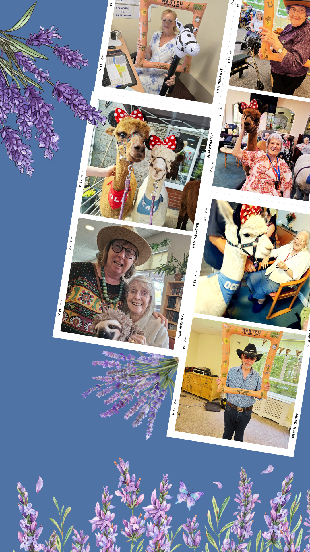 July Update - Alpacas, Adventures and Abroad