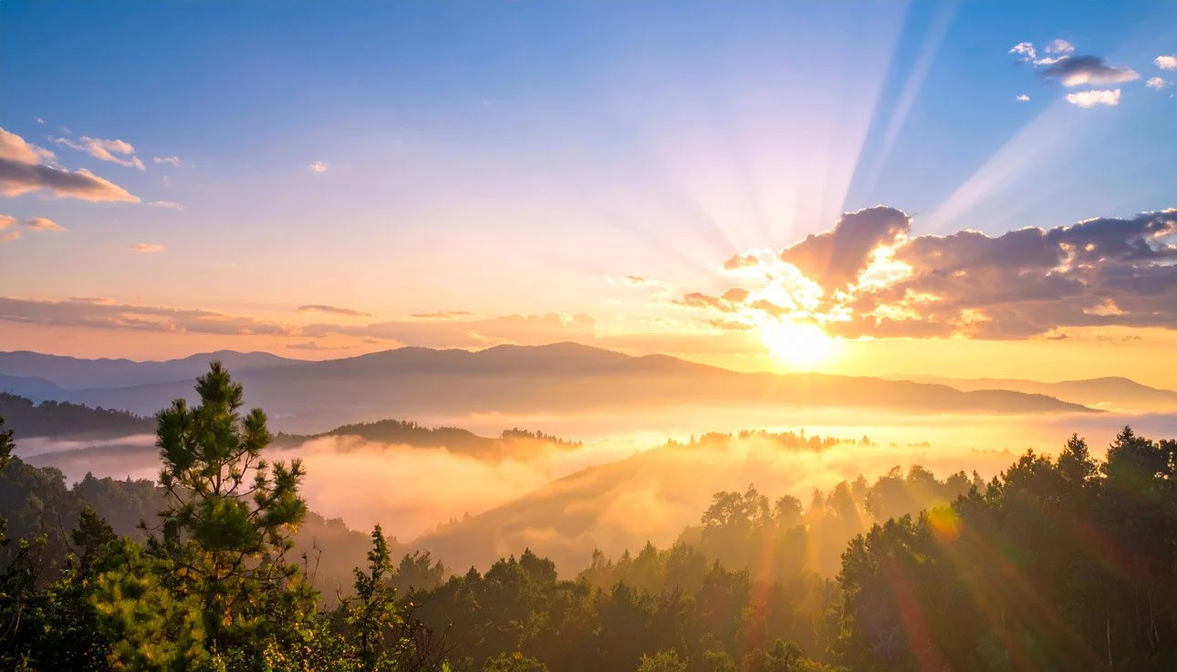 Sonnenstrahlen.jpg