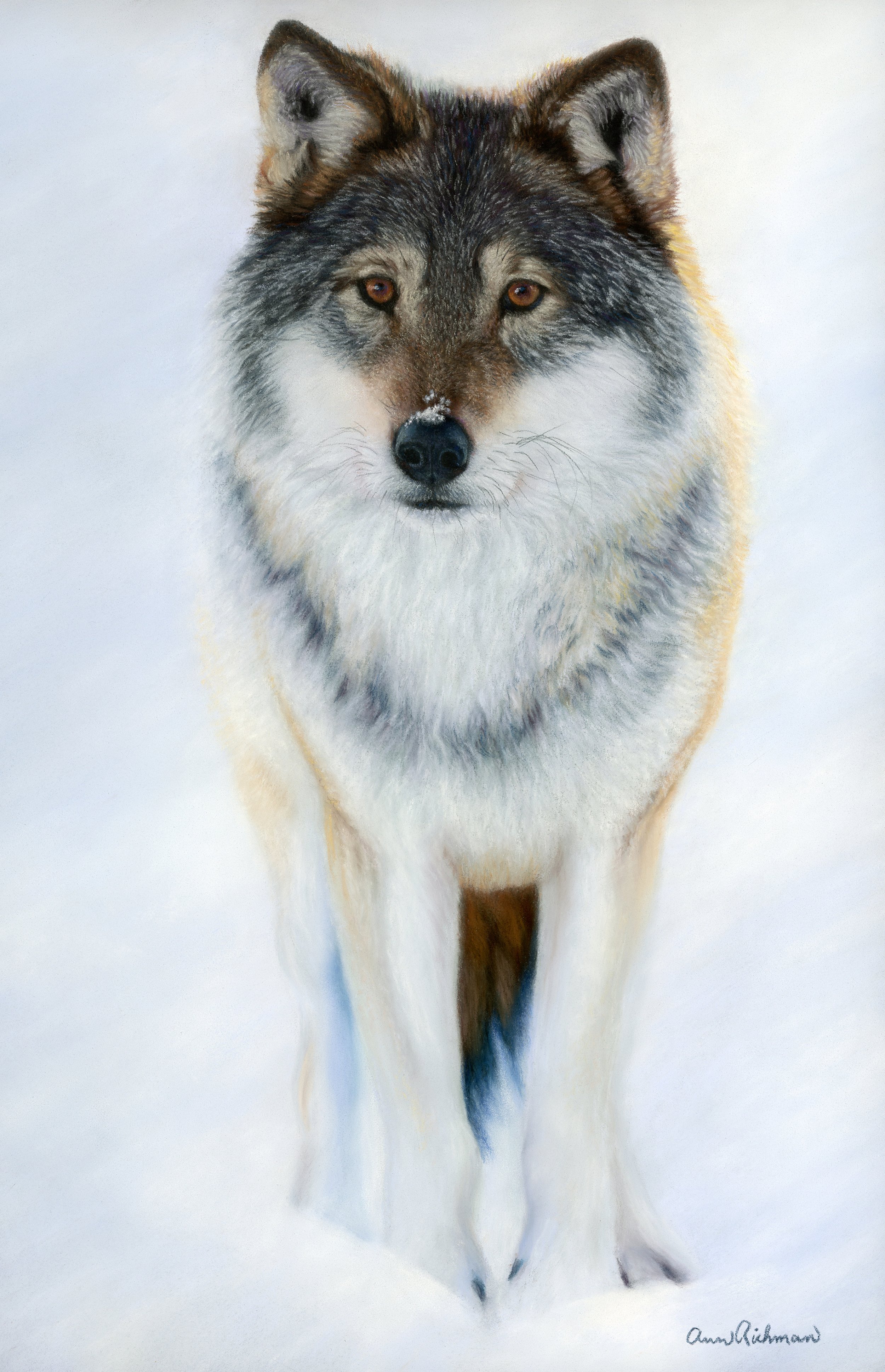 WinterWolf.JPG