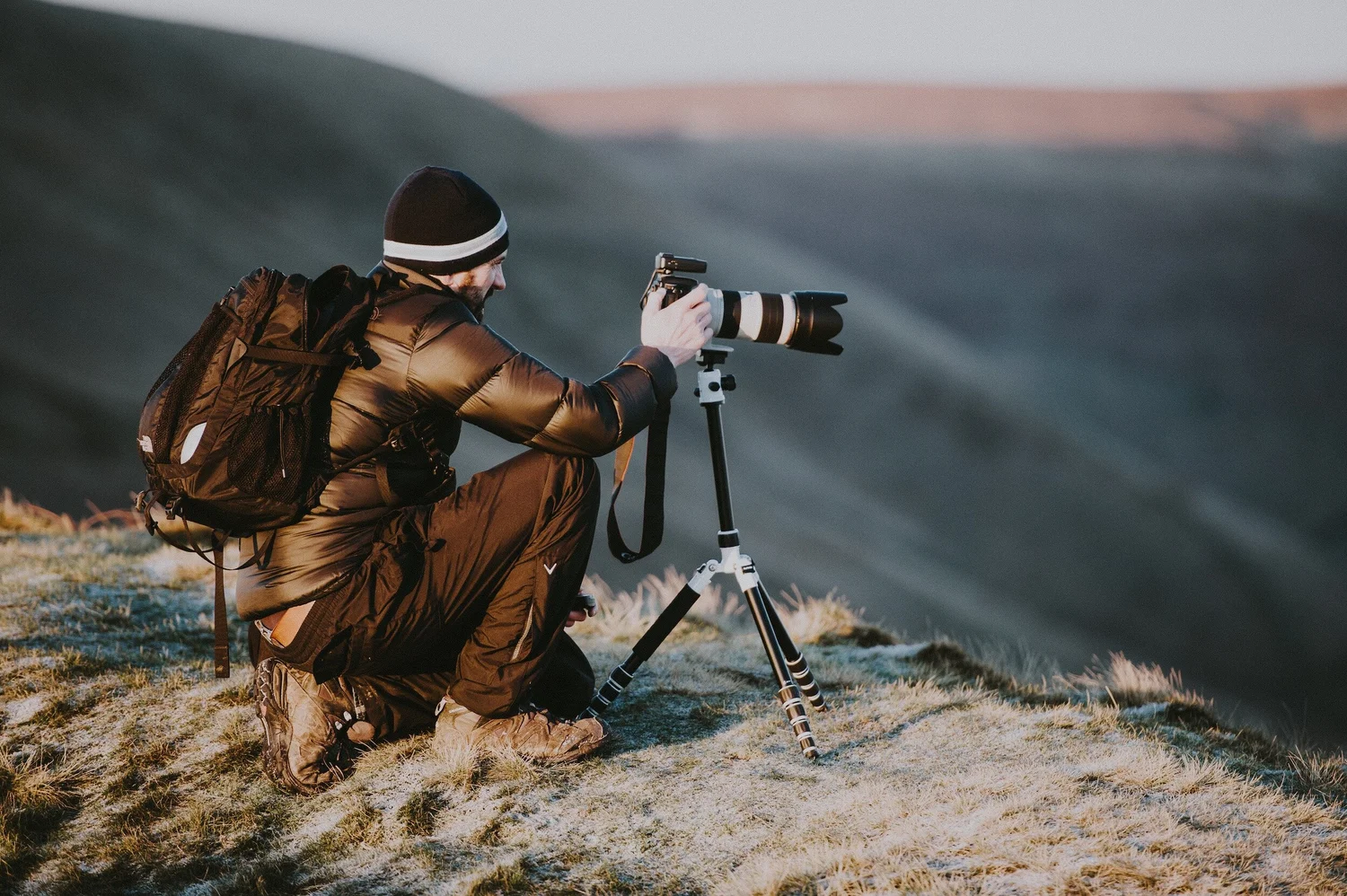 10 Reference Photograph Sources for Artists — Ann Richman Art