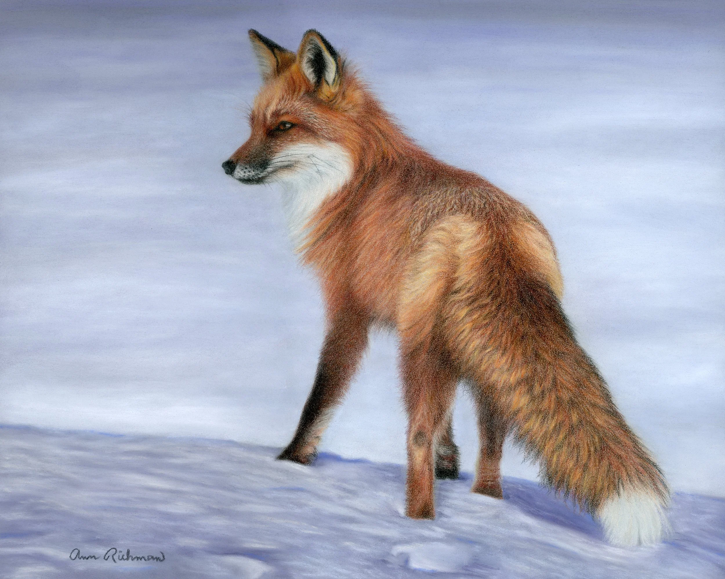 CPTutorialfox.jpg