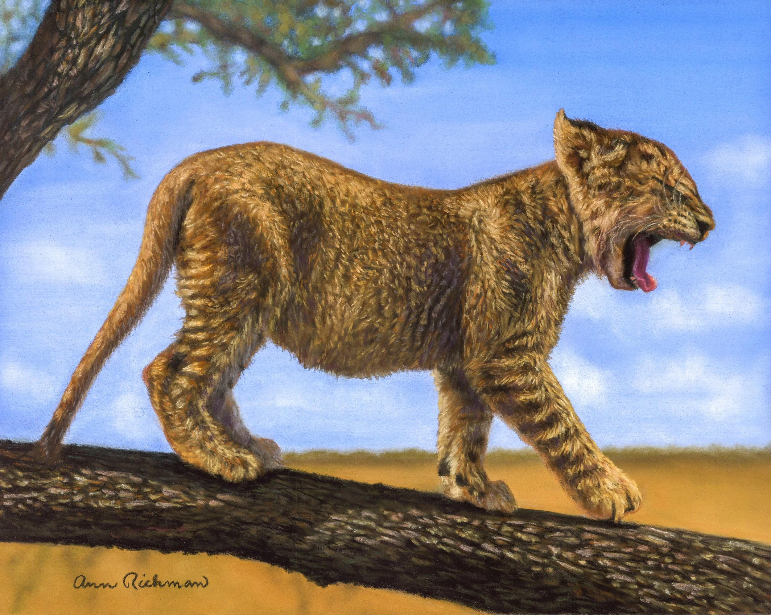 Lion_merge-3.JPG